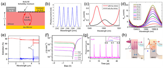 Recent Advances in Photodetectors Based on Two-Dimensional Material/Si ...