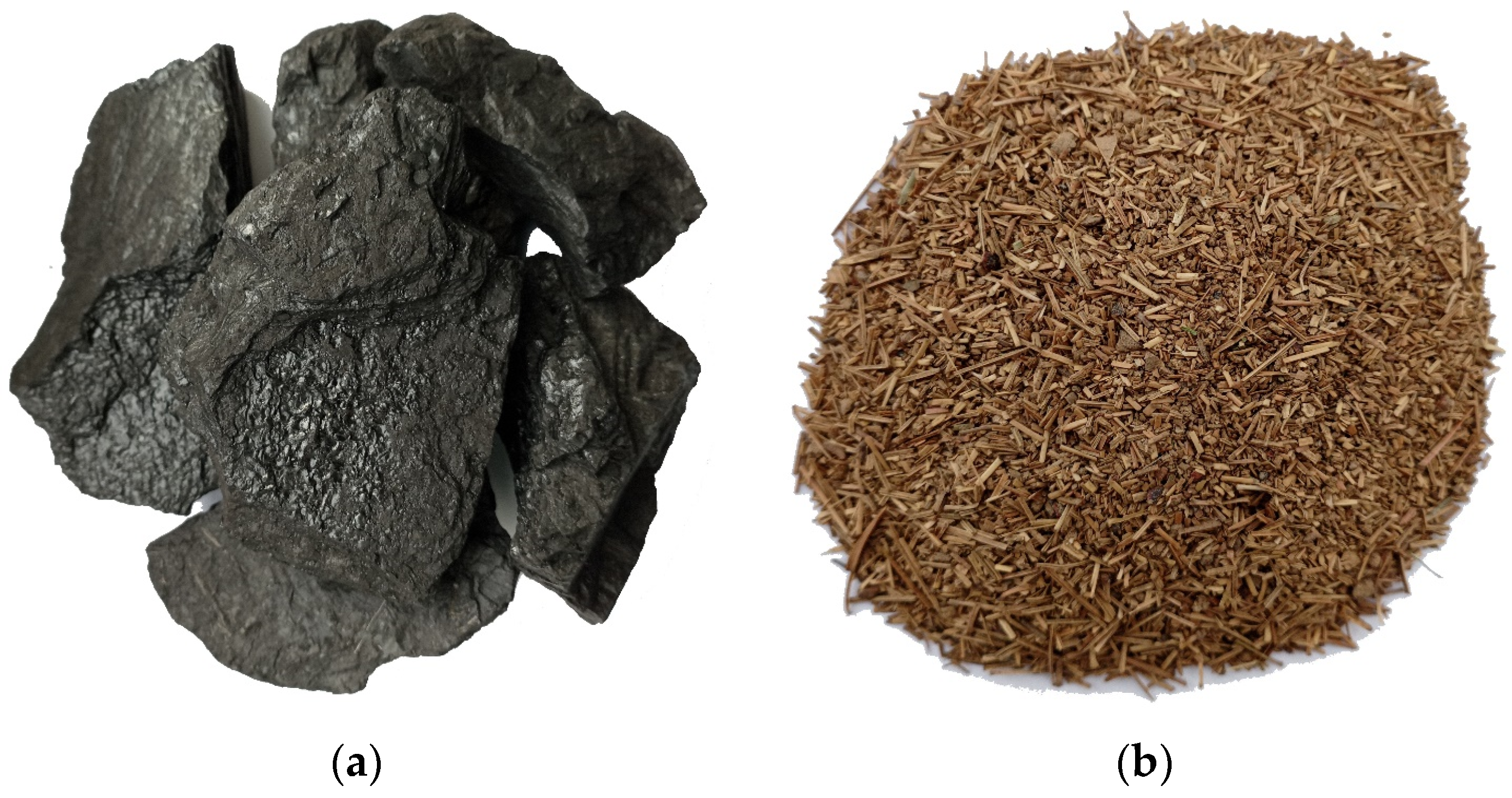 Applsci 13 11060 g001