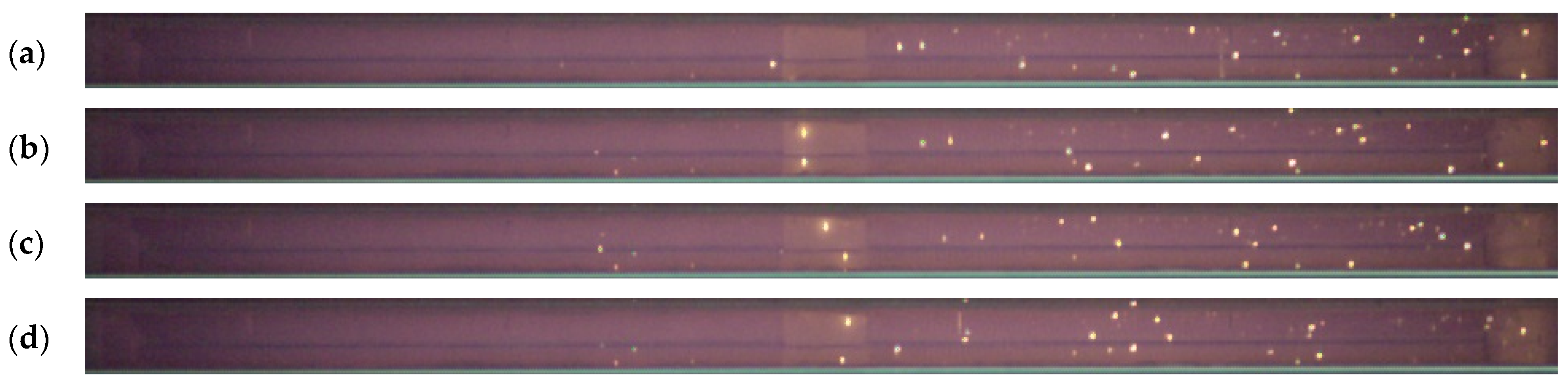 Applsci 13 11060 g010