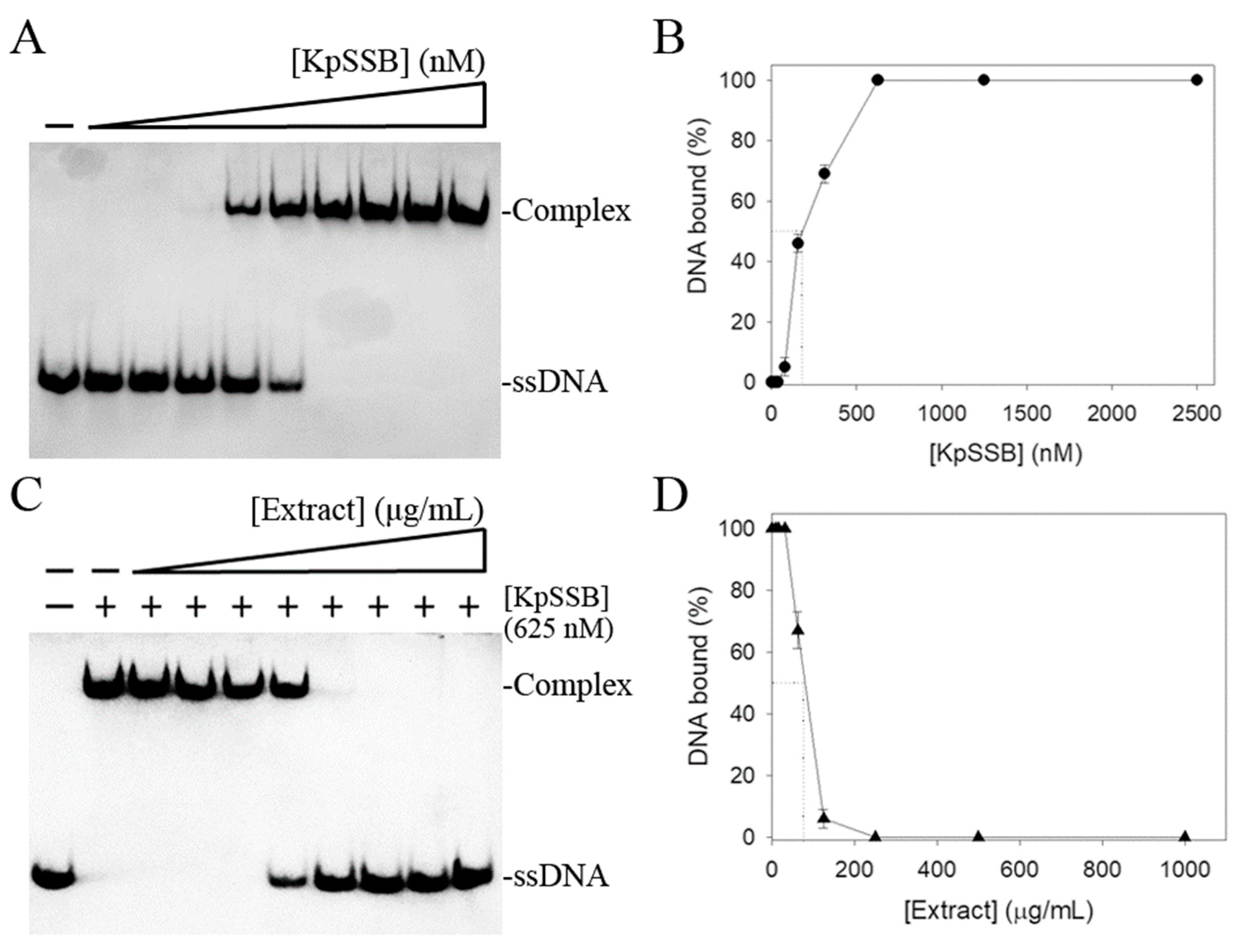 Applsci 13 11061 g002