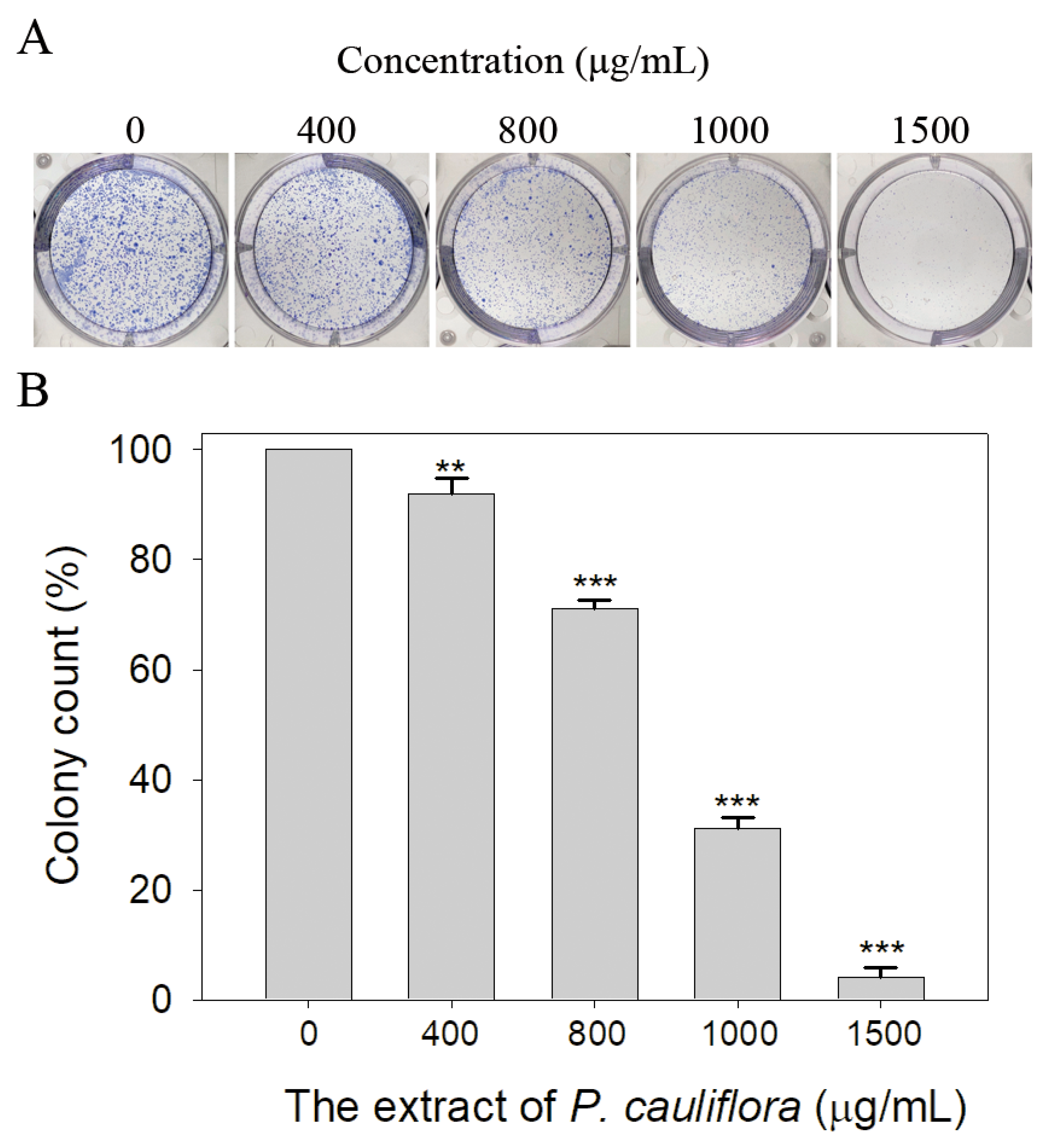 Applsci 13 11061 g008