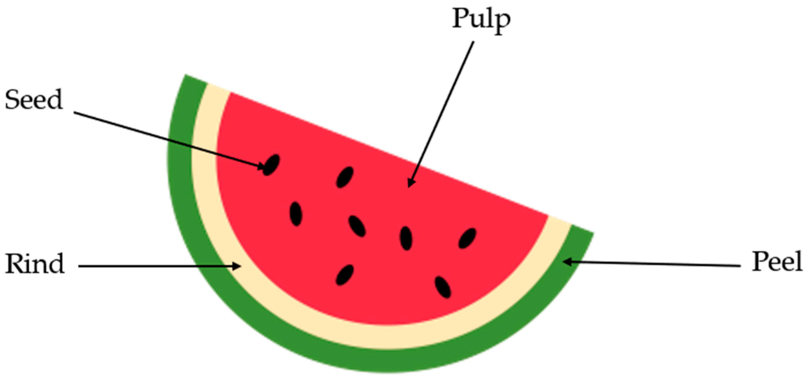 PURE WATER MELON ESSENTIAL OIL Citrullus vulgaris NATURAL HERBAL AYURVEDA