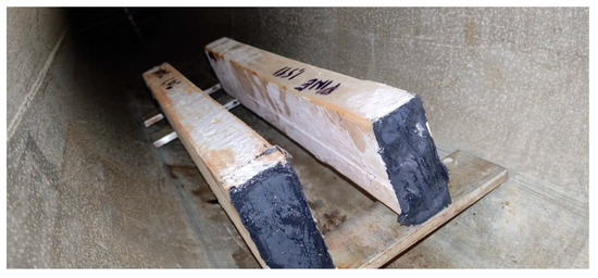 Applied Sciences | Free Full-Text | Drying Behaviour of Western Hemlock