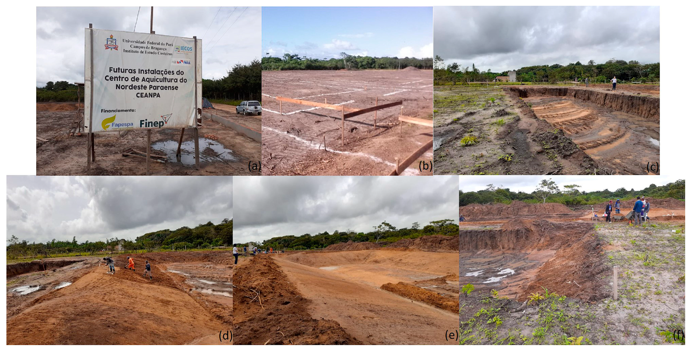 Applsci 13 11107 g009