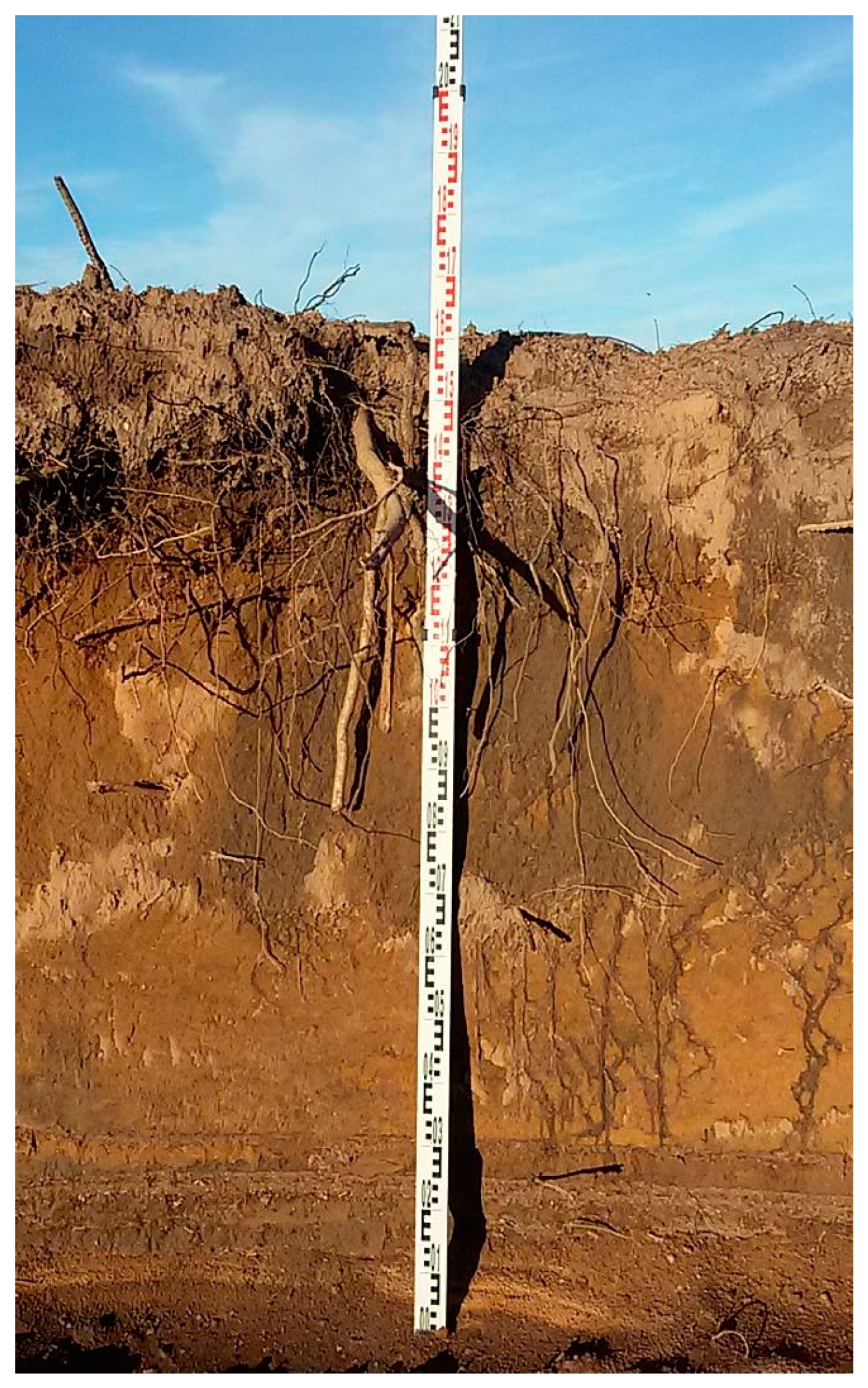 Applsci 13 11107 g010