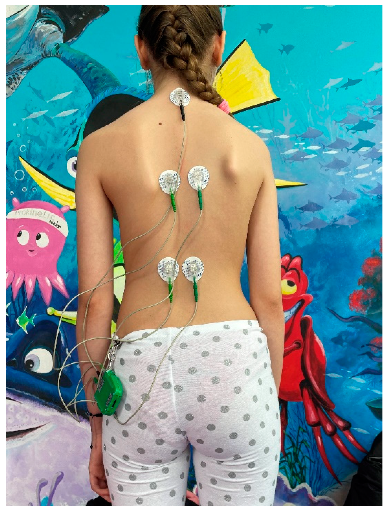 Applsci 13 11108 g002