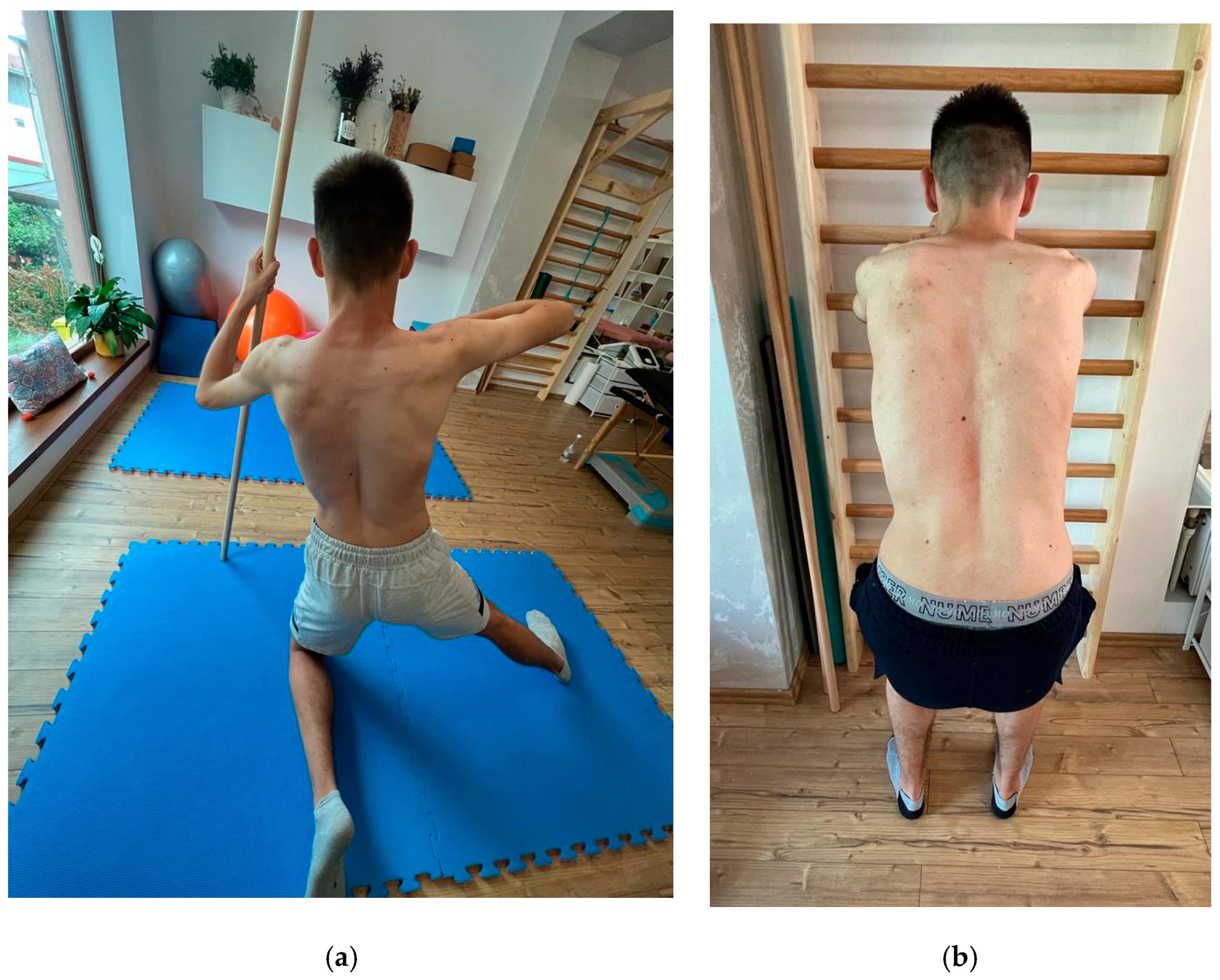 Applsci 13 11108 g004