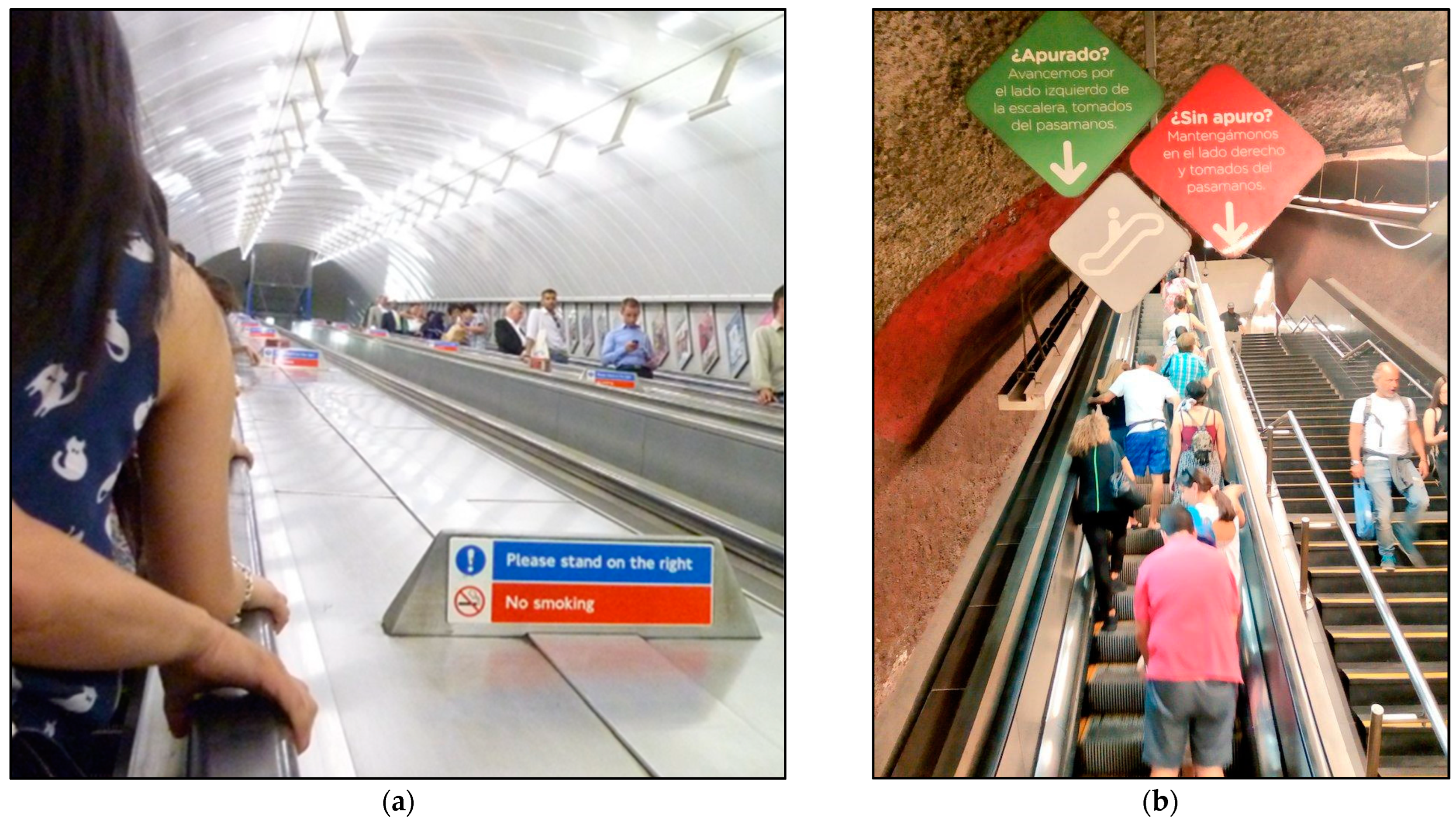 Applsci 13 11117 g001