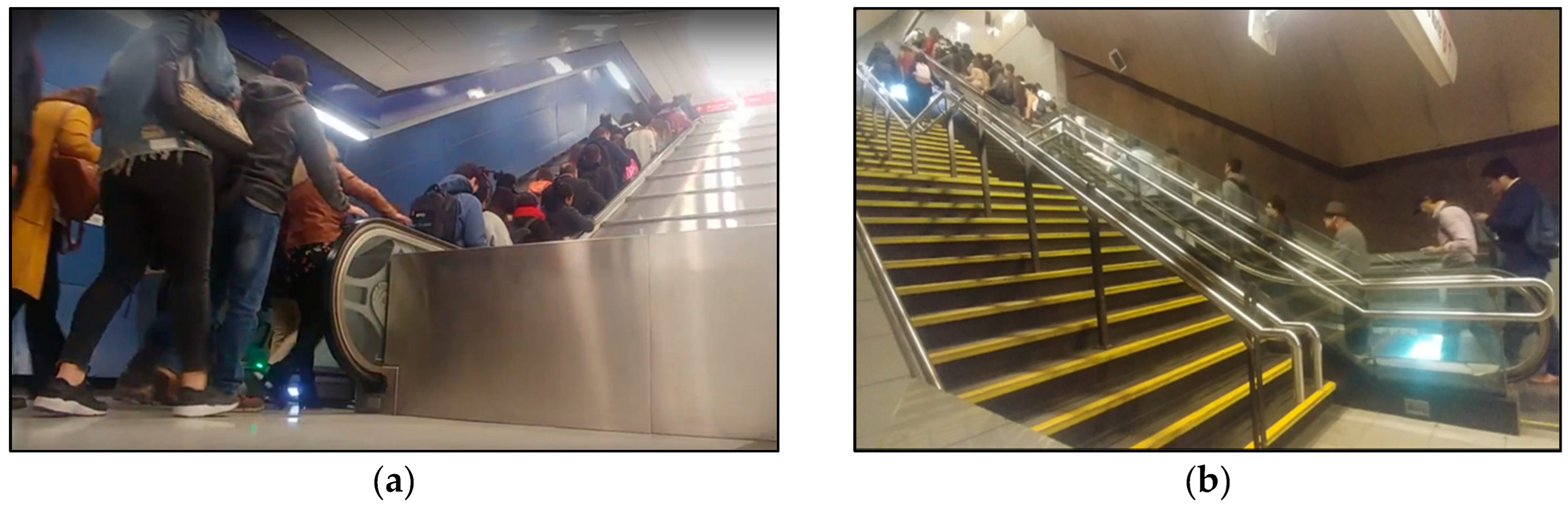 Applsci 13 11117 g003