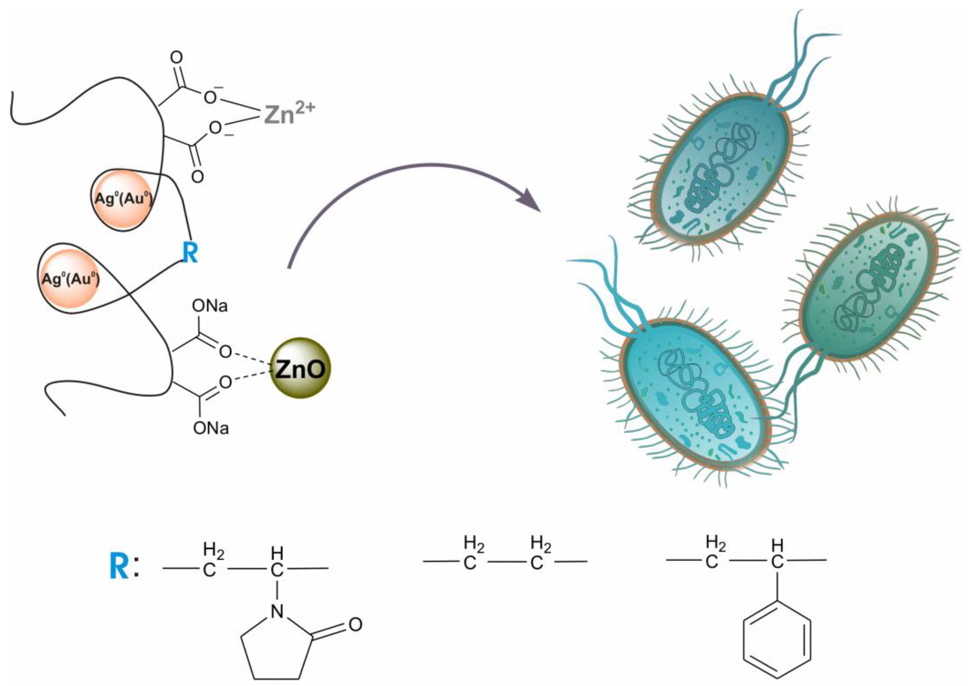 Applsci 13 11121 sch001