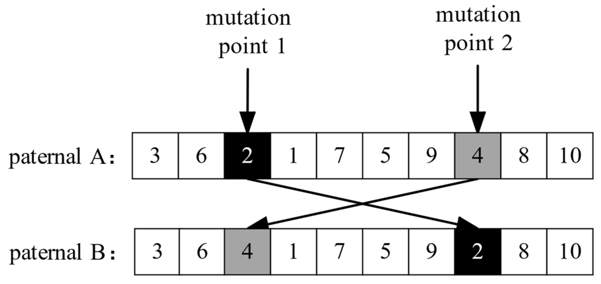 Applied Sciences | Free Full-Text | Ferry Scheduling Optimization ...