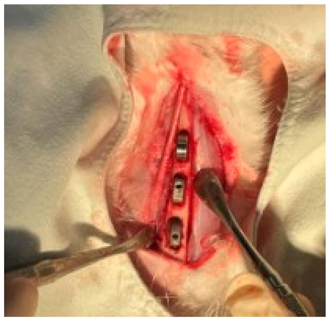 Applsci 13 11177 g002