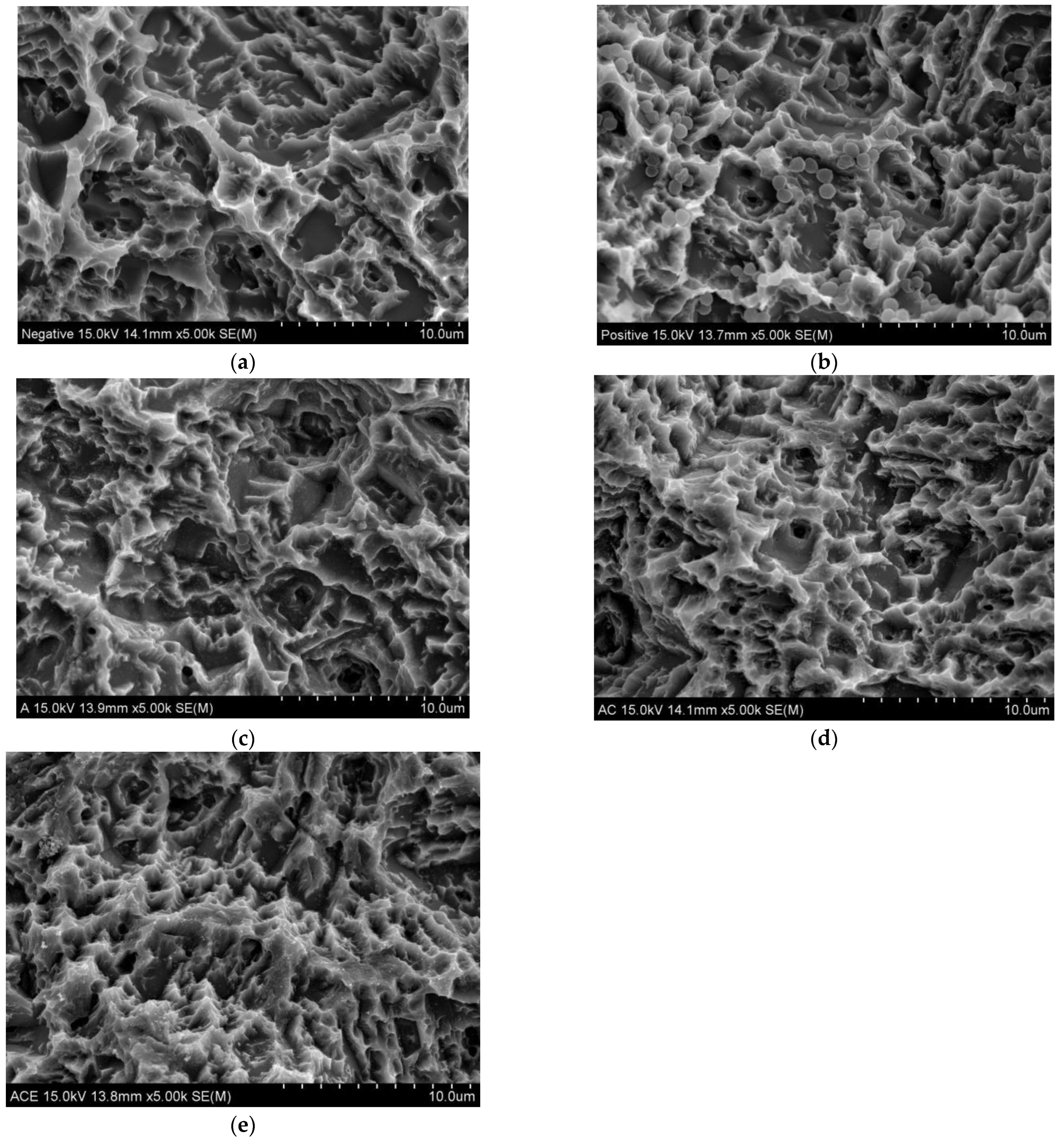 Applsci 13 11177 g005