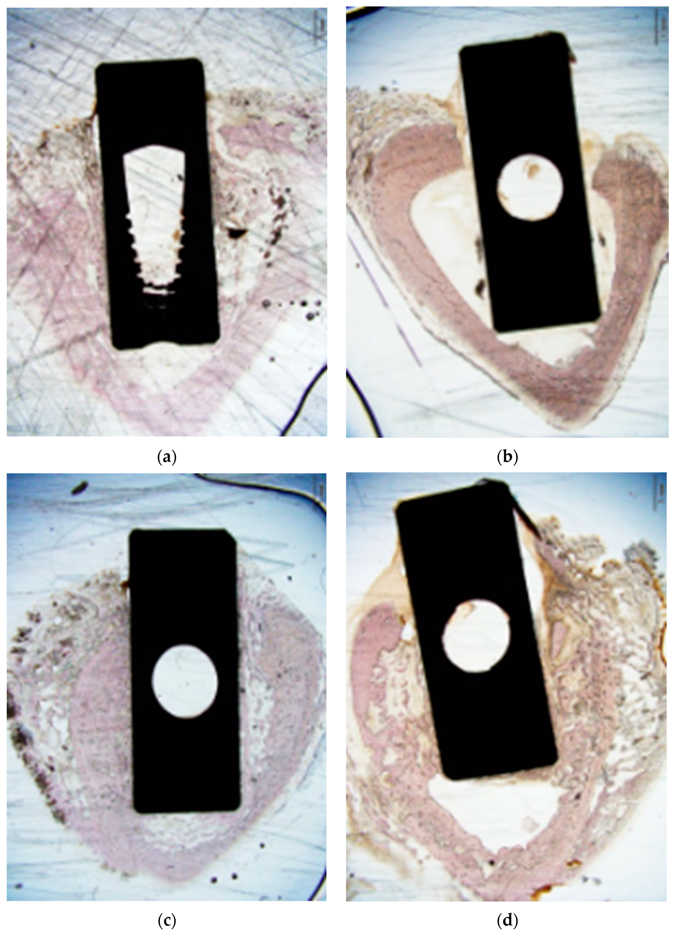 Applsci 13 11177 g006a