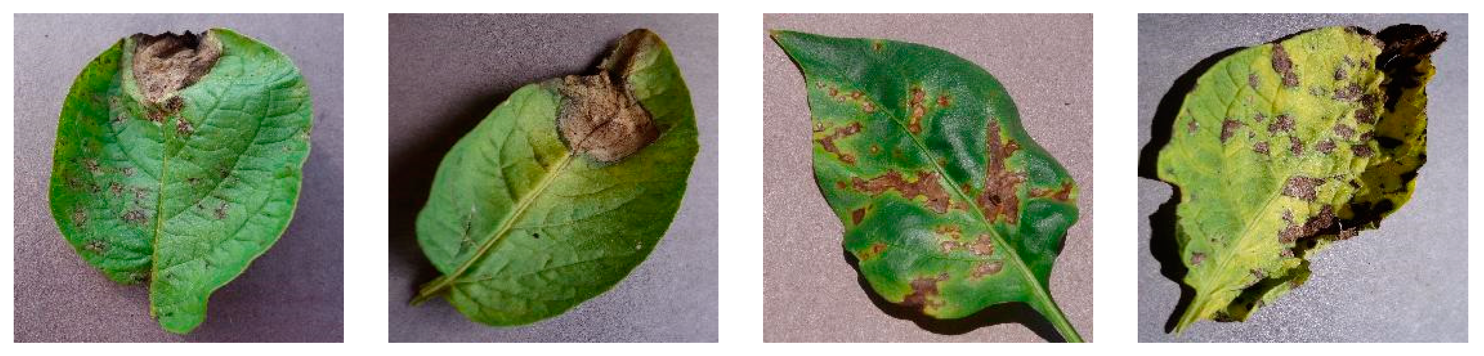 Applsci 13 11179 g001