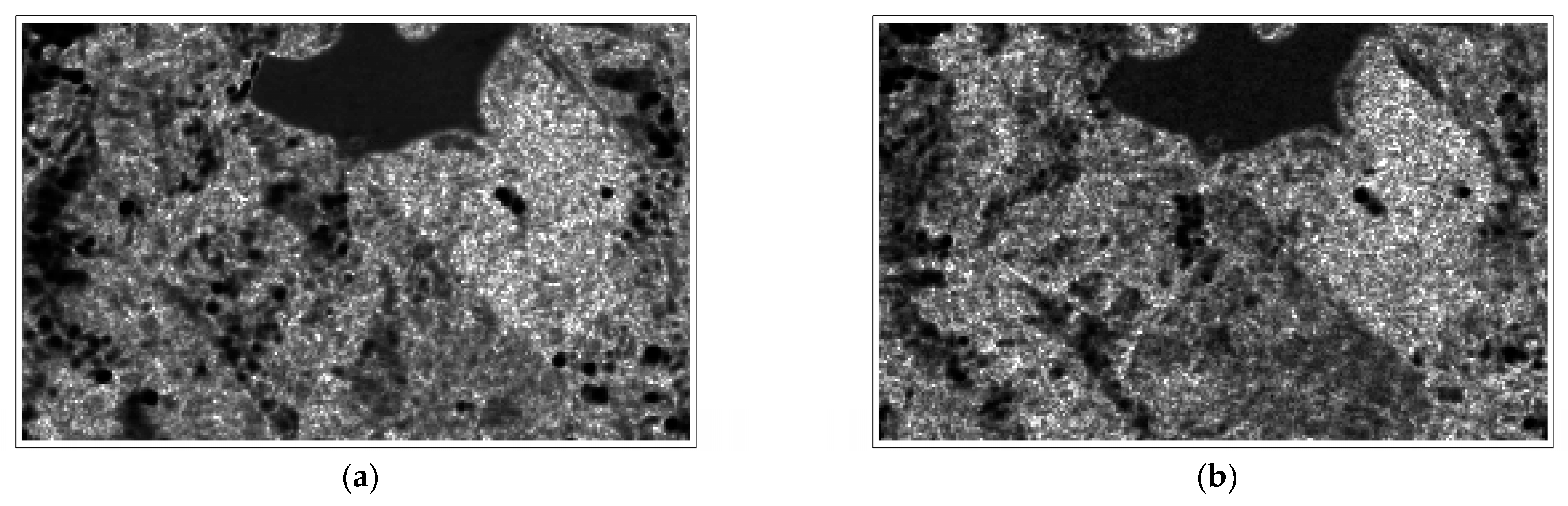 Applsci 13 11194 g006