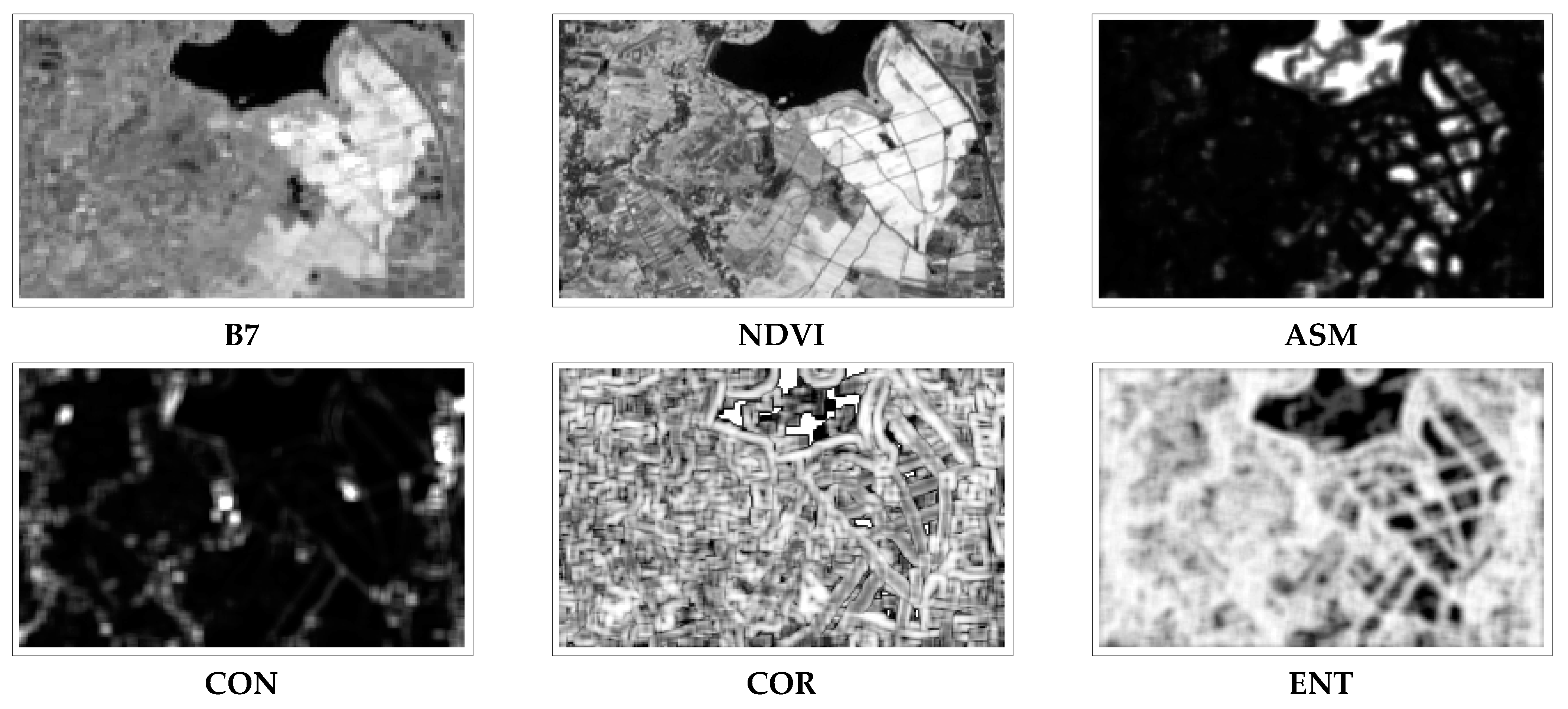 Applsci 13 11194 g007