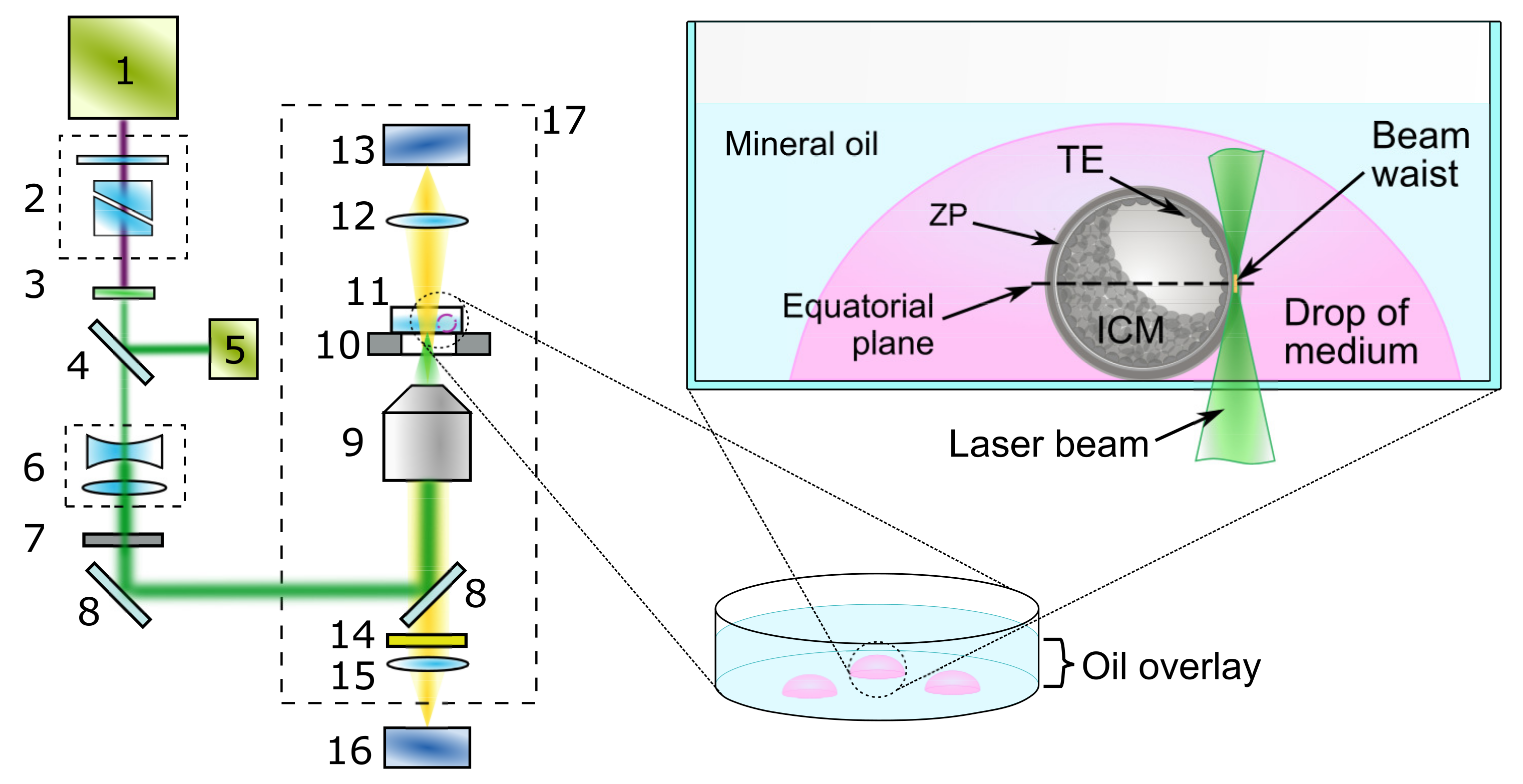 Applsci 13 11204 g001