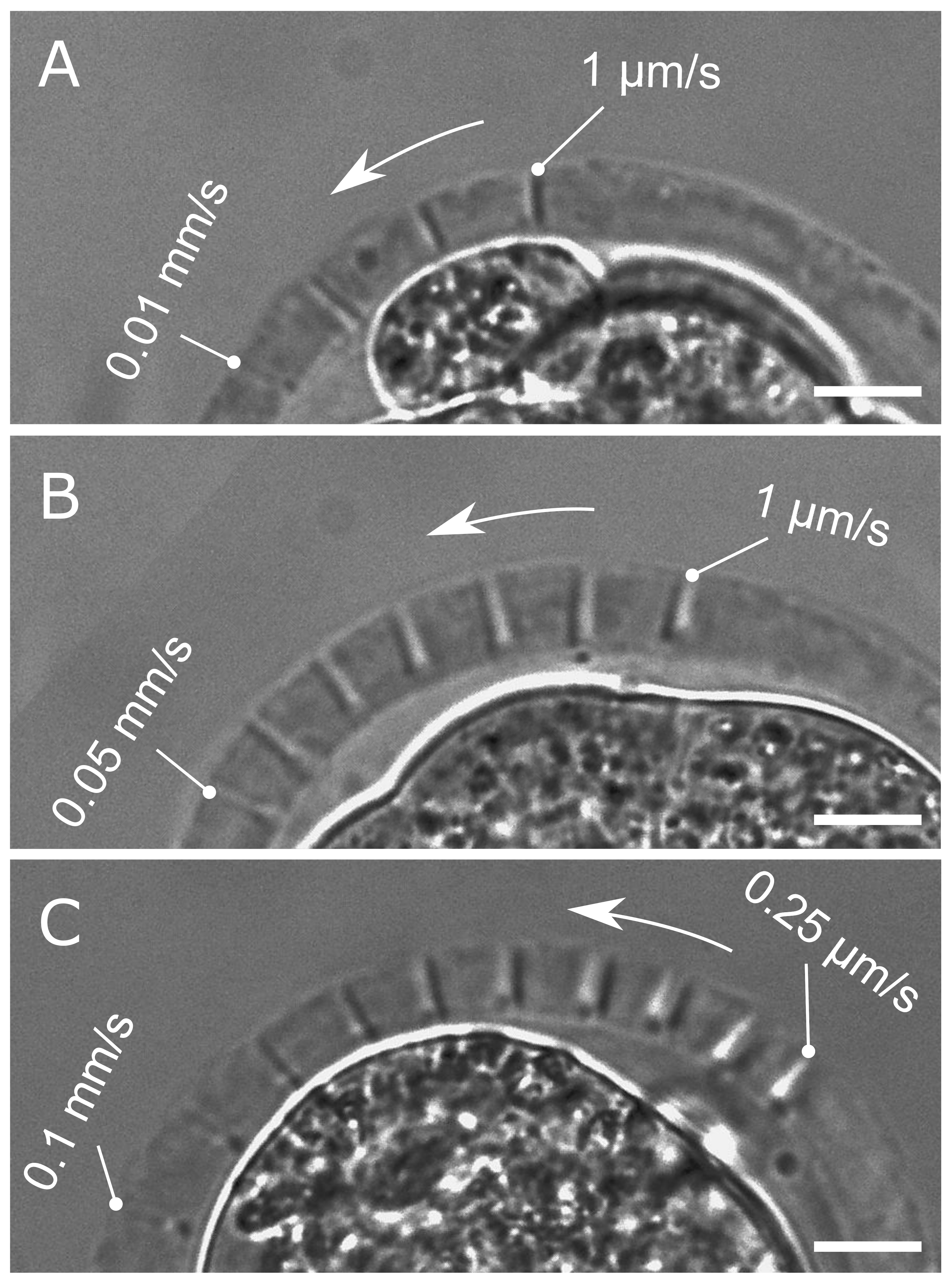 Applsci 13 11204 g004