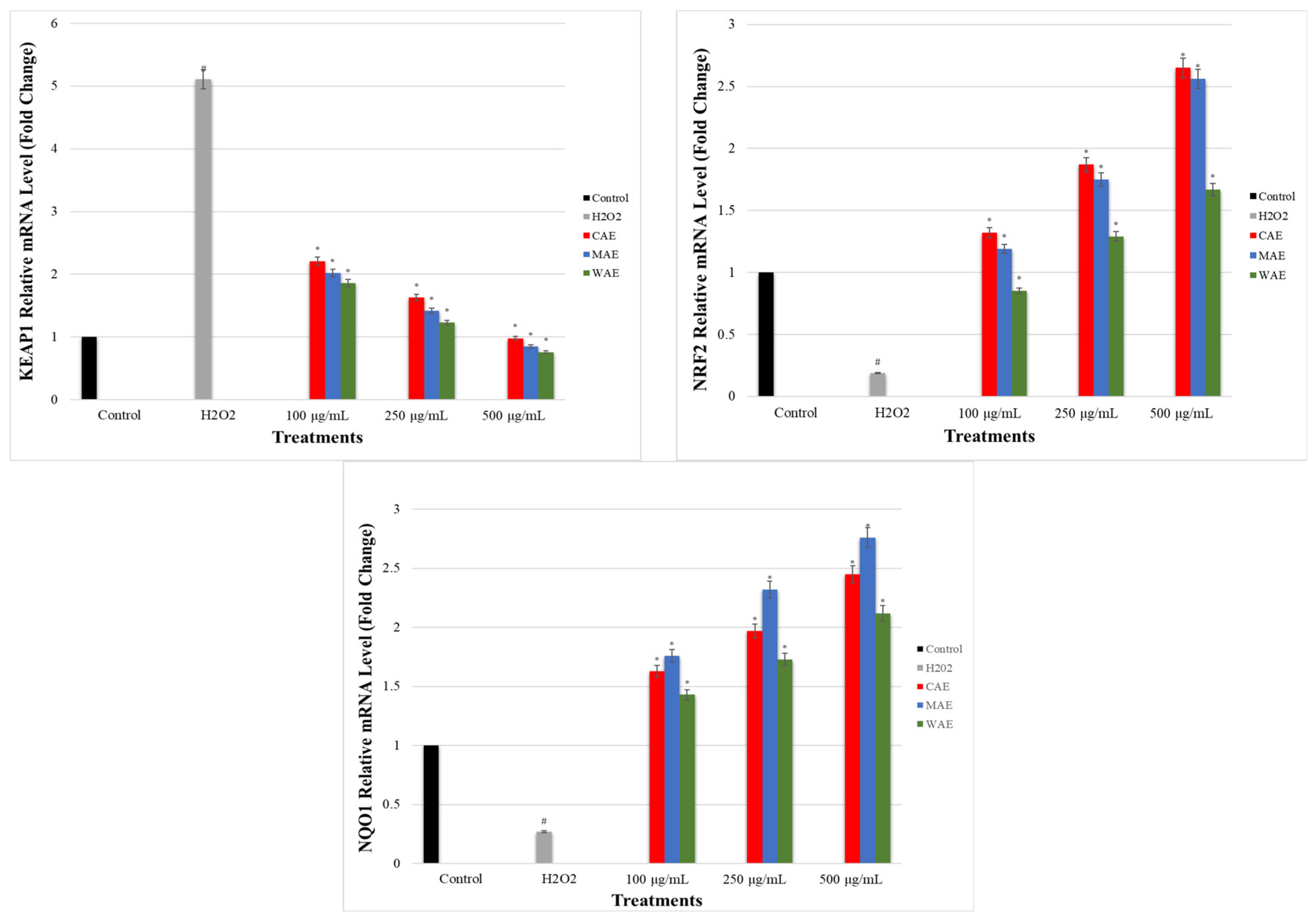 Applsci 13 11205 g006b
