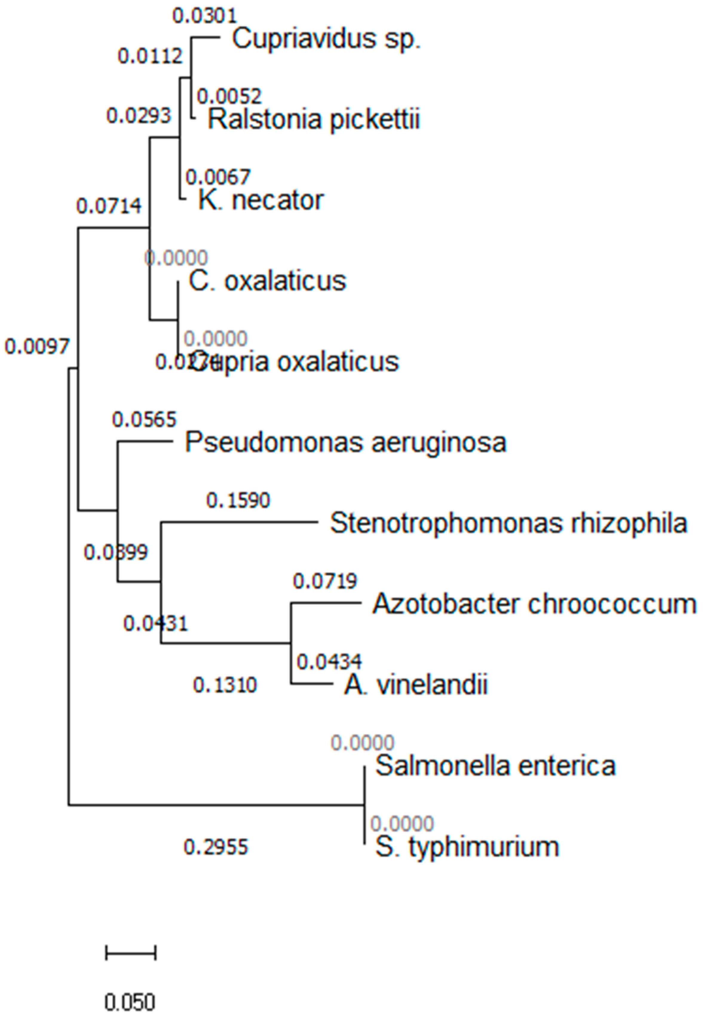 Applsci 13 11241 g005