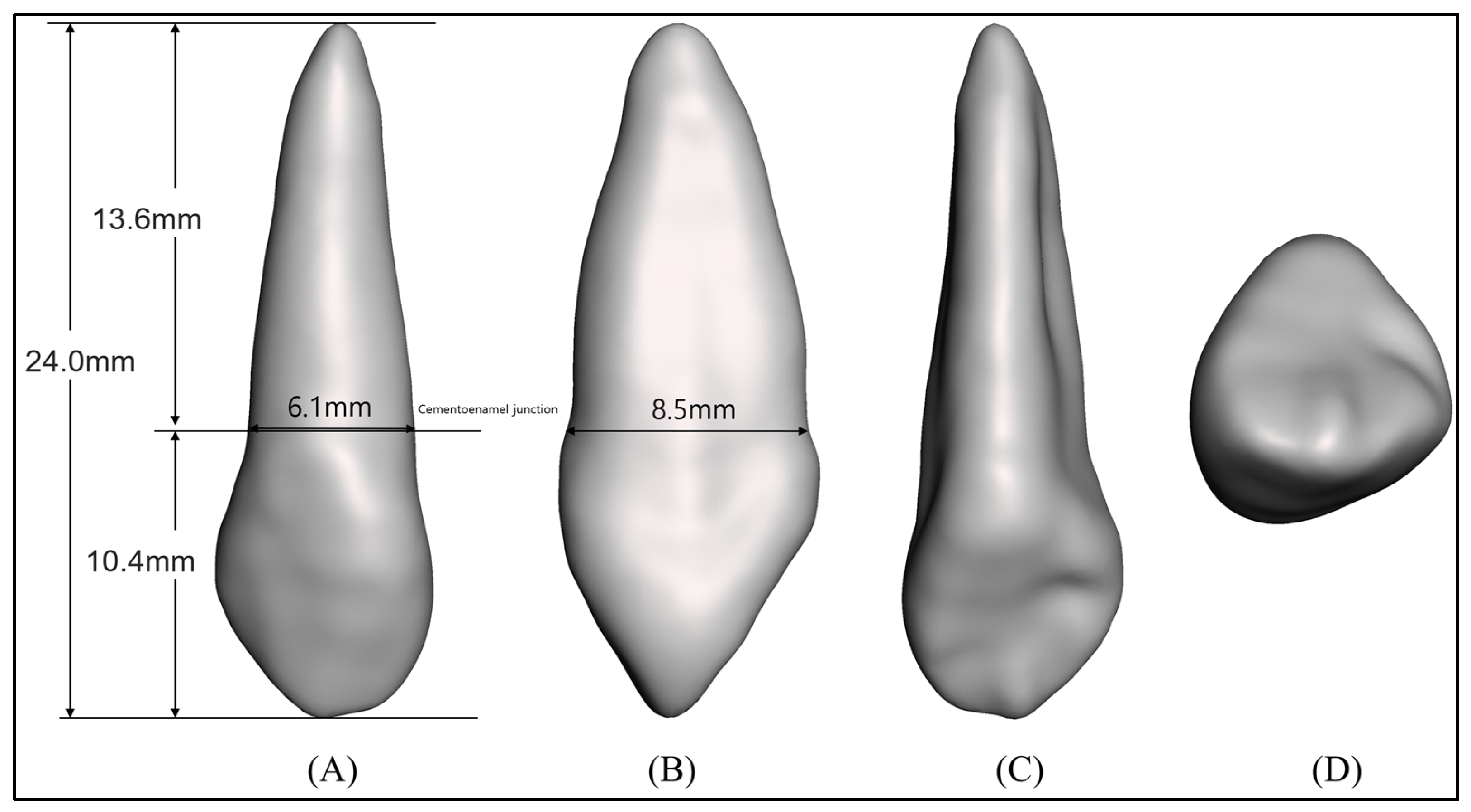 Applsci 13 11256 g001