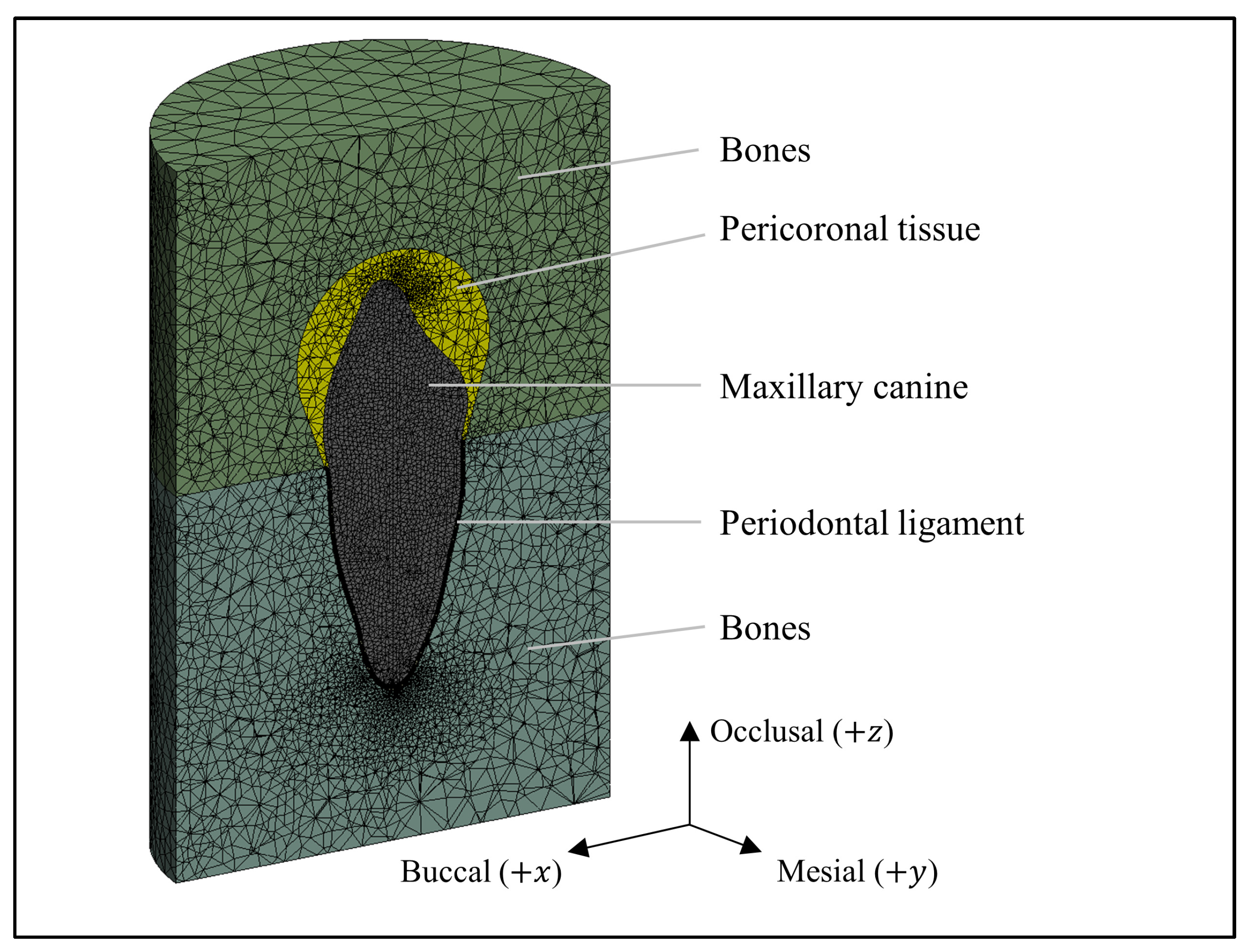 Applsci 13 11256 g003