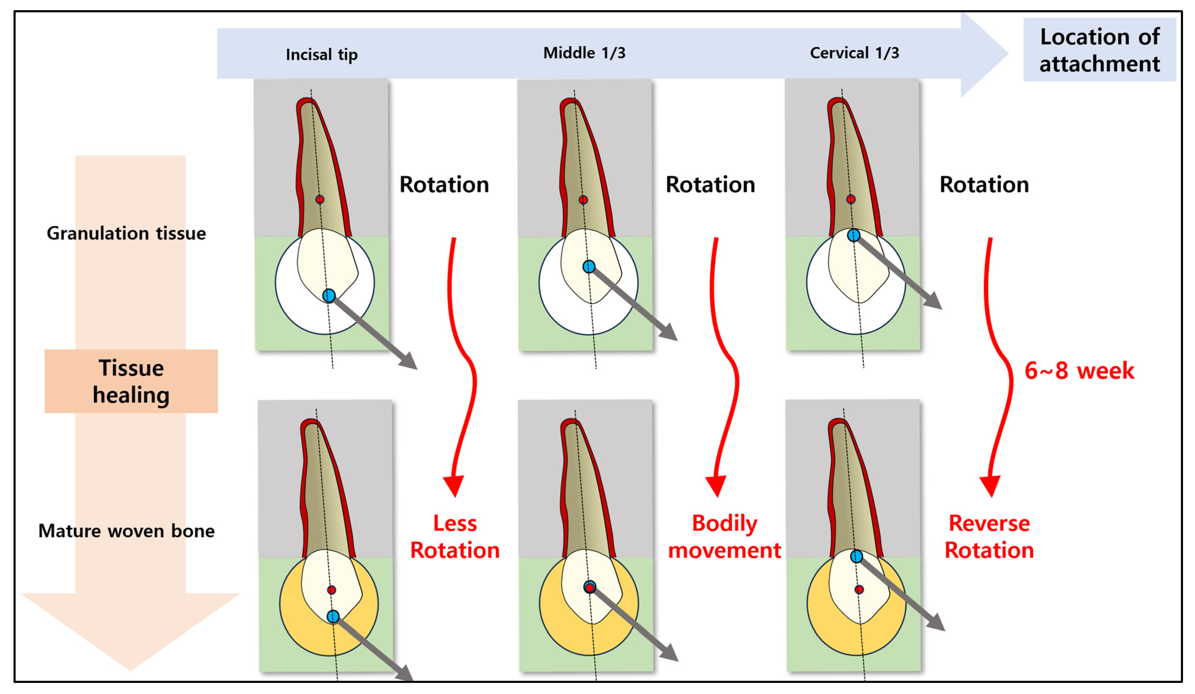 Applsci 13 11256 g009