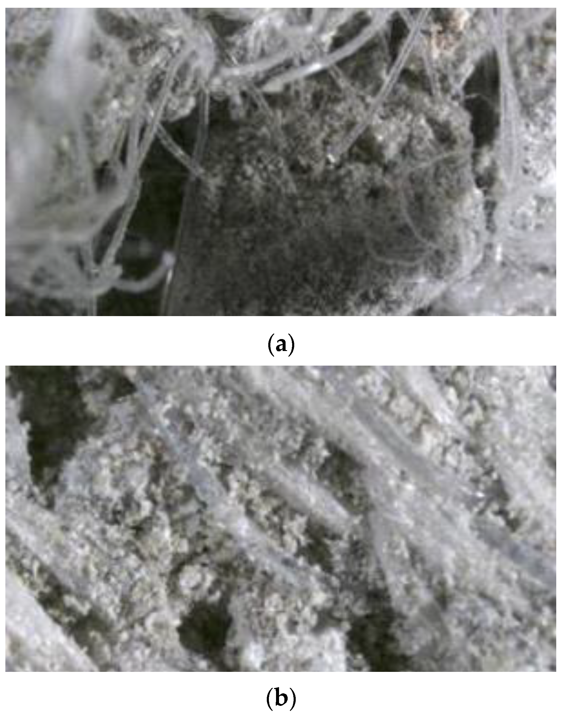 Applsci 13 11271 g007