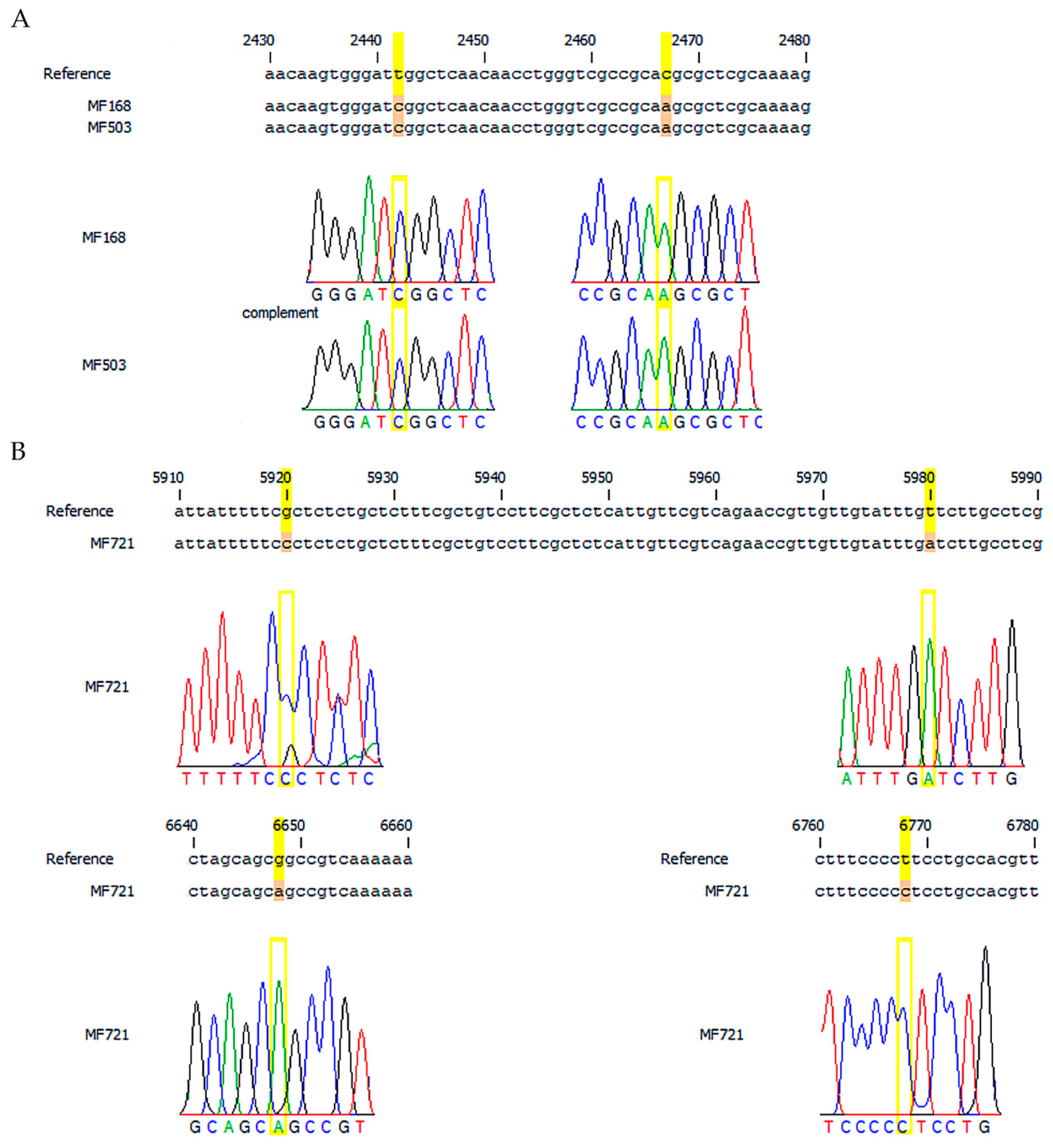 Applsci 13 11288 g001