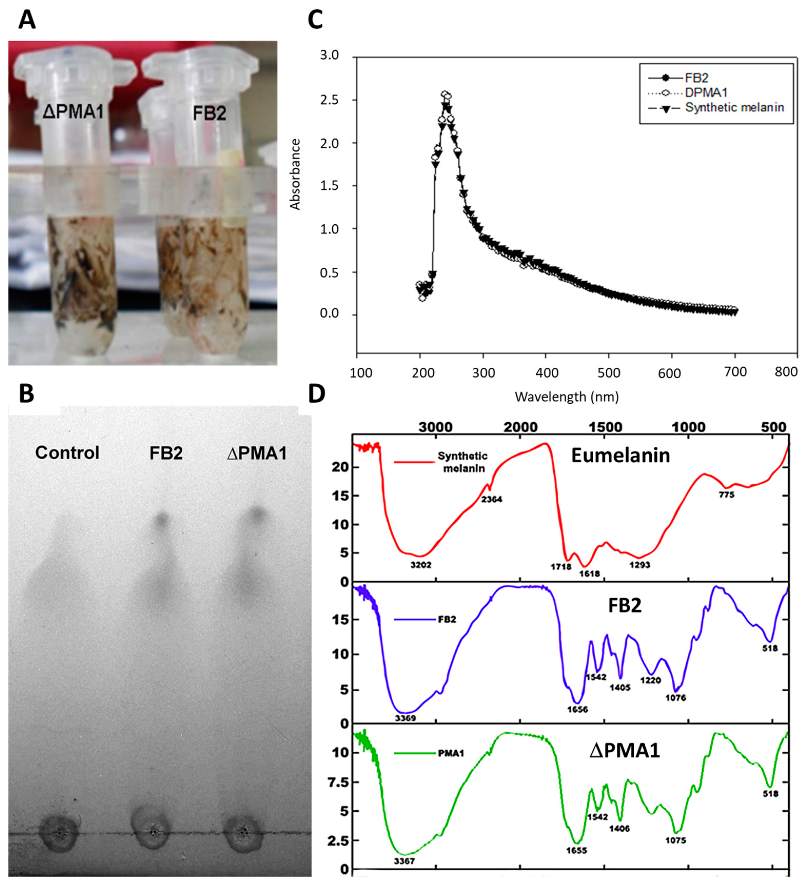 Applsci 13 11288 g005