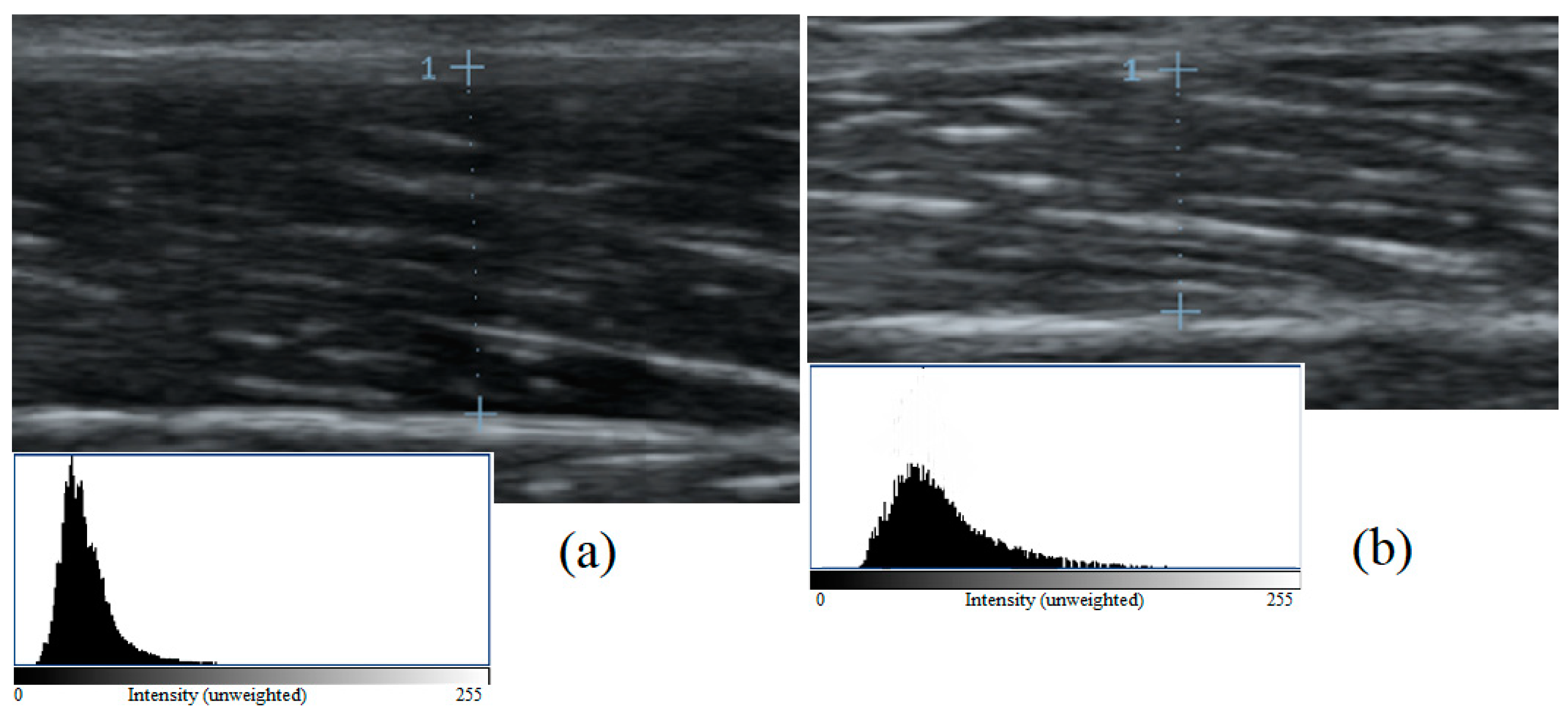 Applsci 13 11314 g002