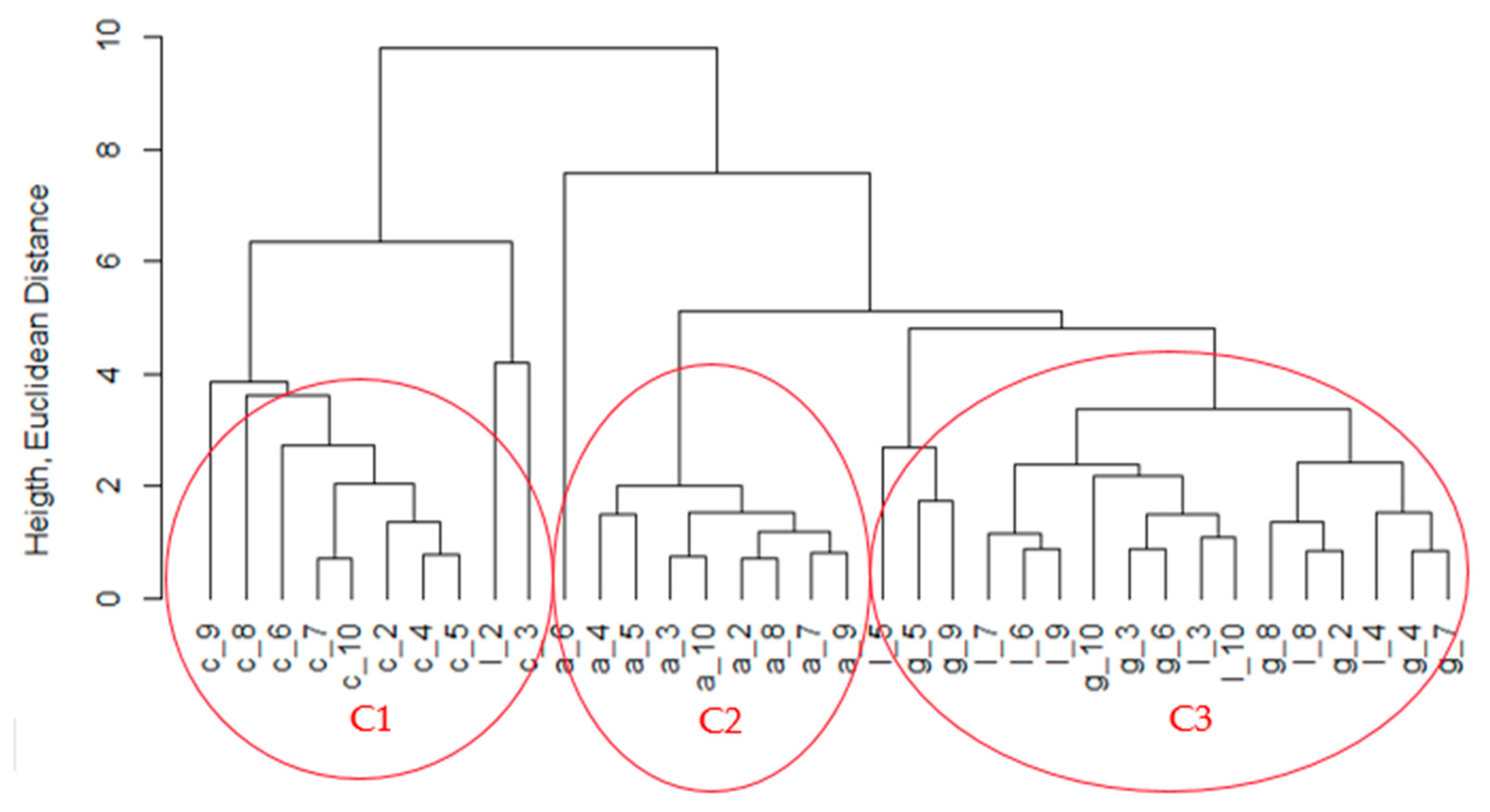 Applsci 13 11315 g003
