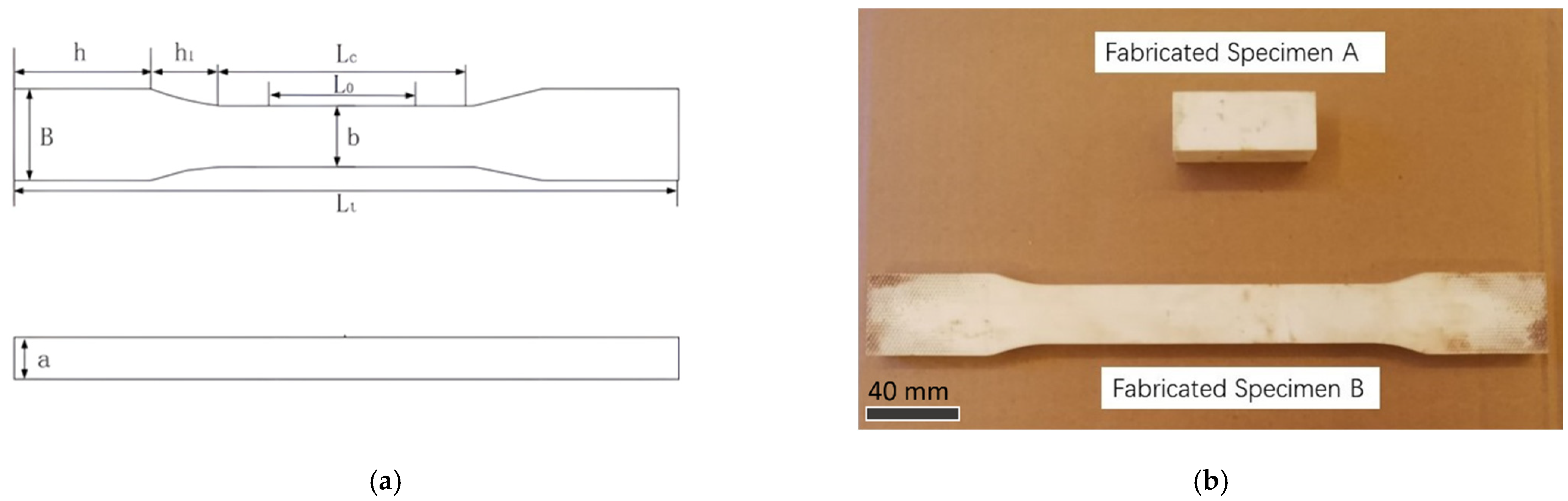 Applsci 13 11317 g002