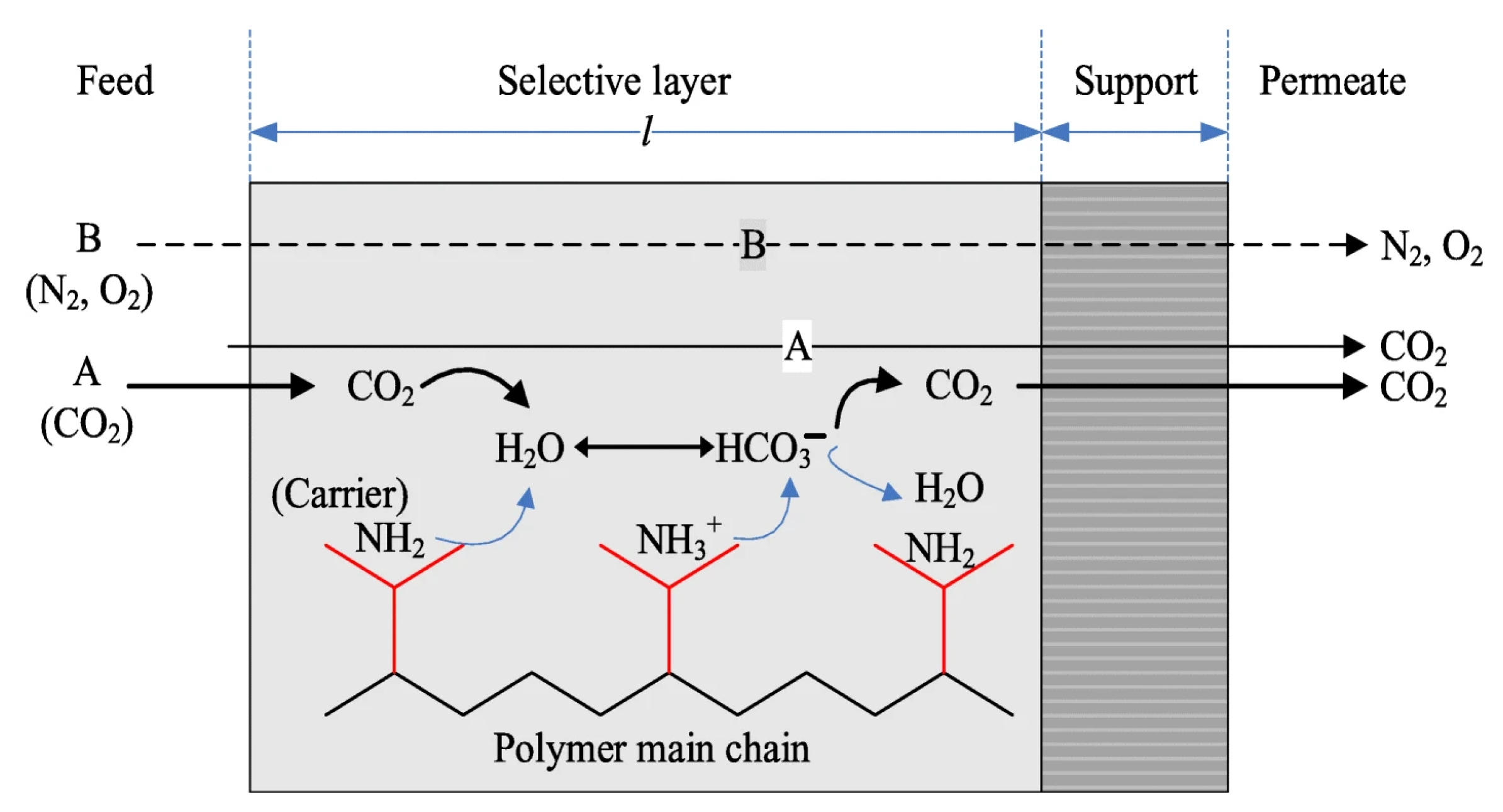 Applsci 13 11333 g001