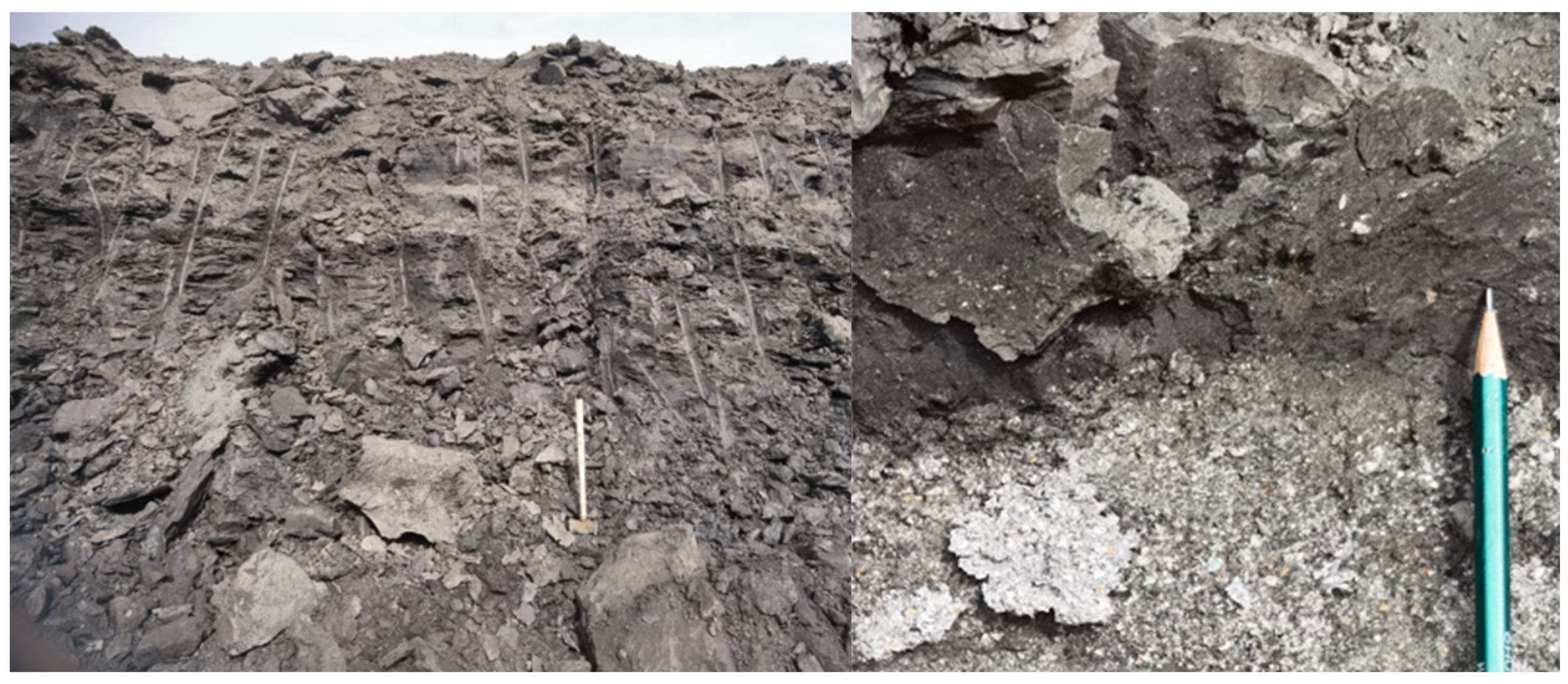 Applsci 13 11336 g006