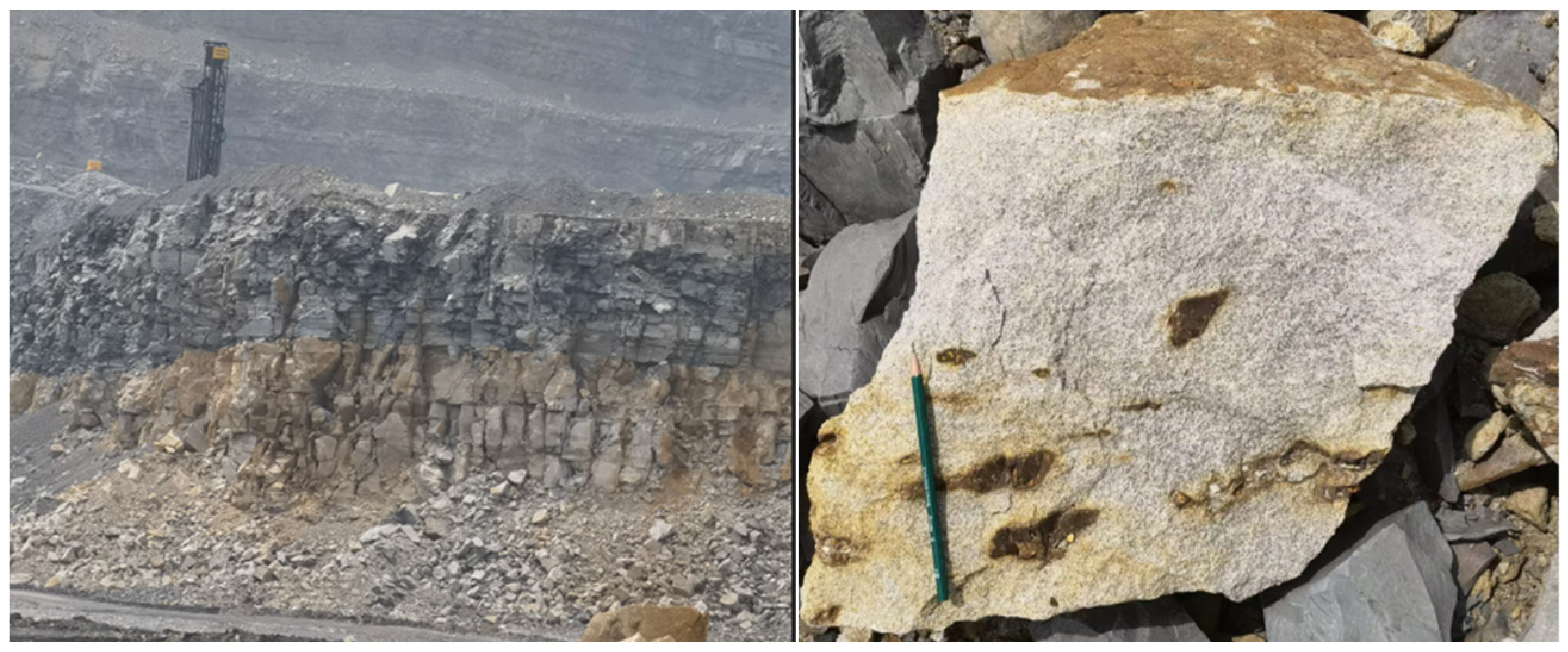 Applsci 13 11336 g007