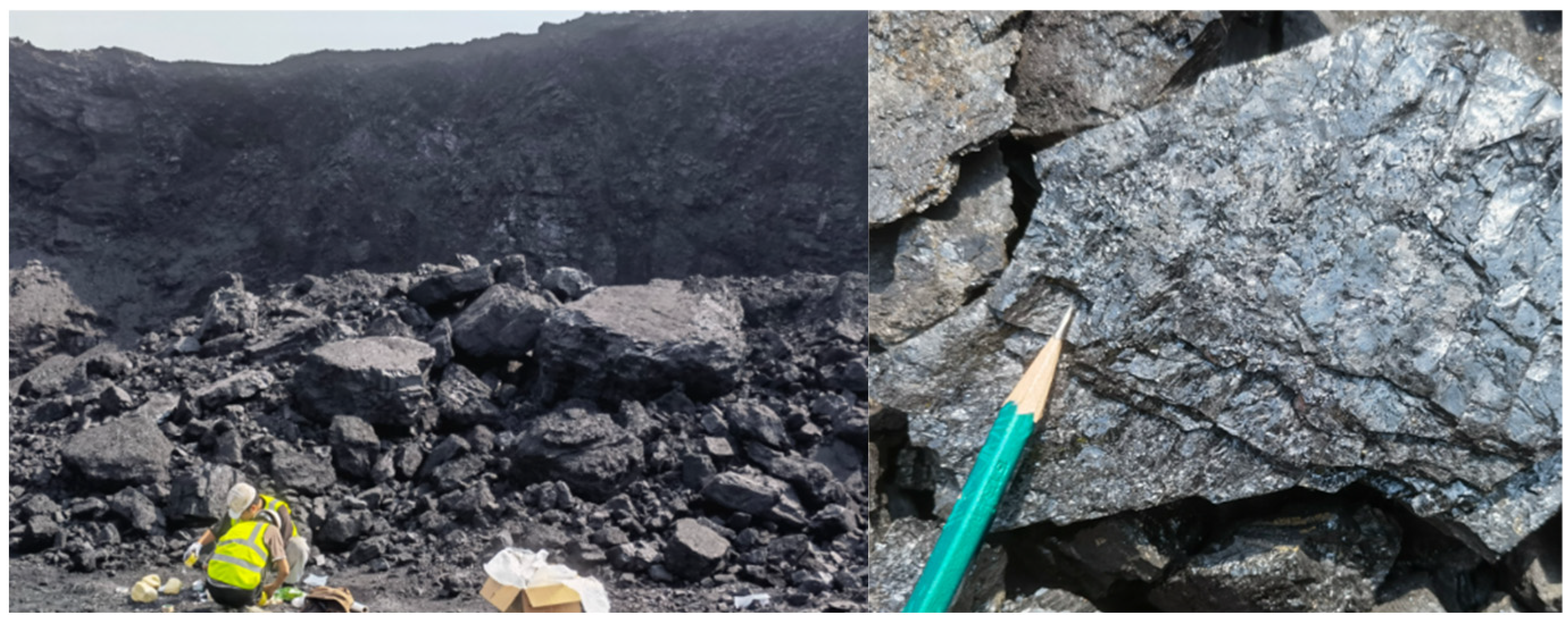 Applsci 13 11336 g008