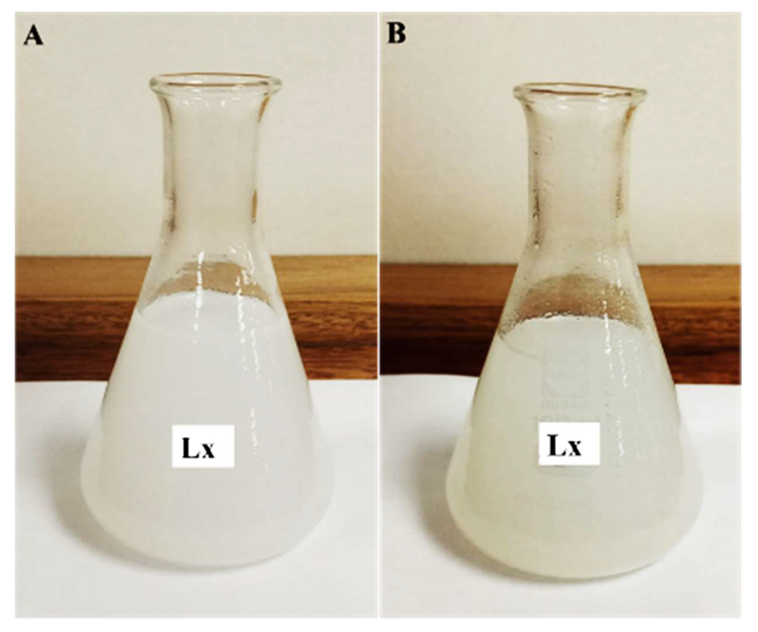 Applsci 13 11363 g001