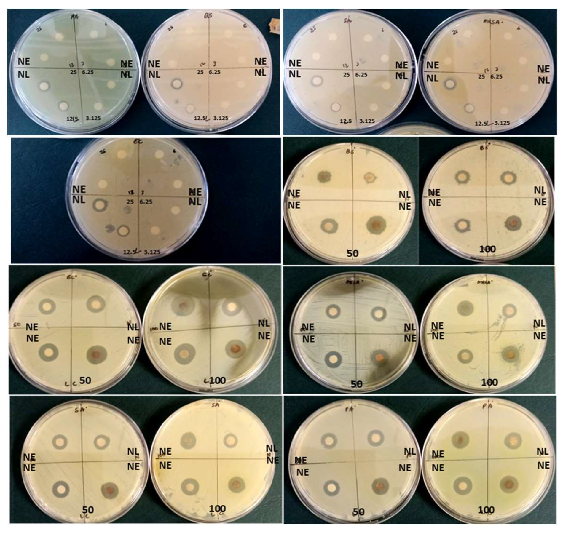 Applsci 13 11363 g006