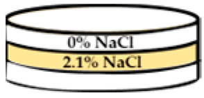 Applsci 13 11373 i003