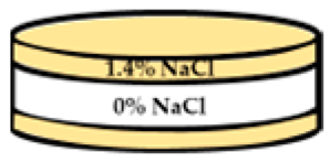 Applsci 13 11373 i004