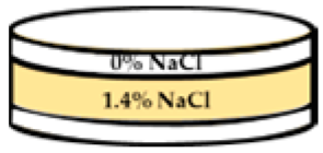 Applsci 13 11373 i012