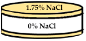 Applsci 13 11373 i013