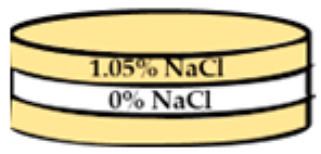 Applsci 13 11373 i016