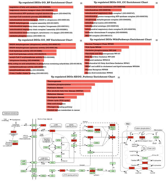 PDF) RNA-Seq analysis of Gtf2ird1 knockout epidermal tissue