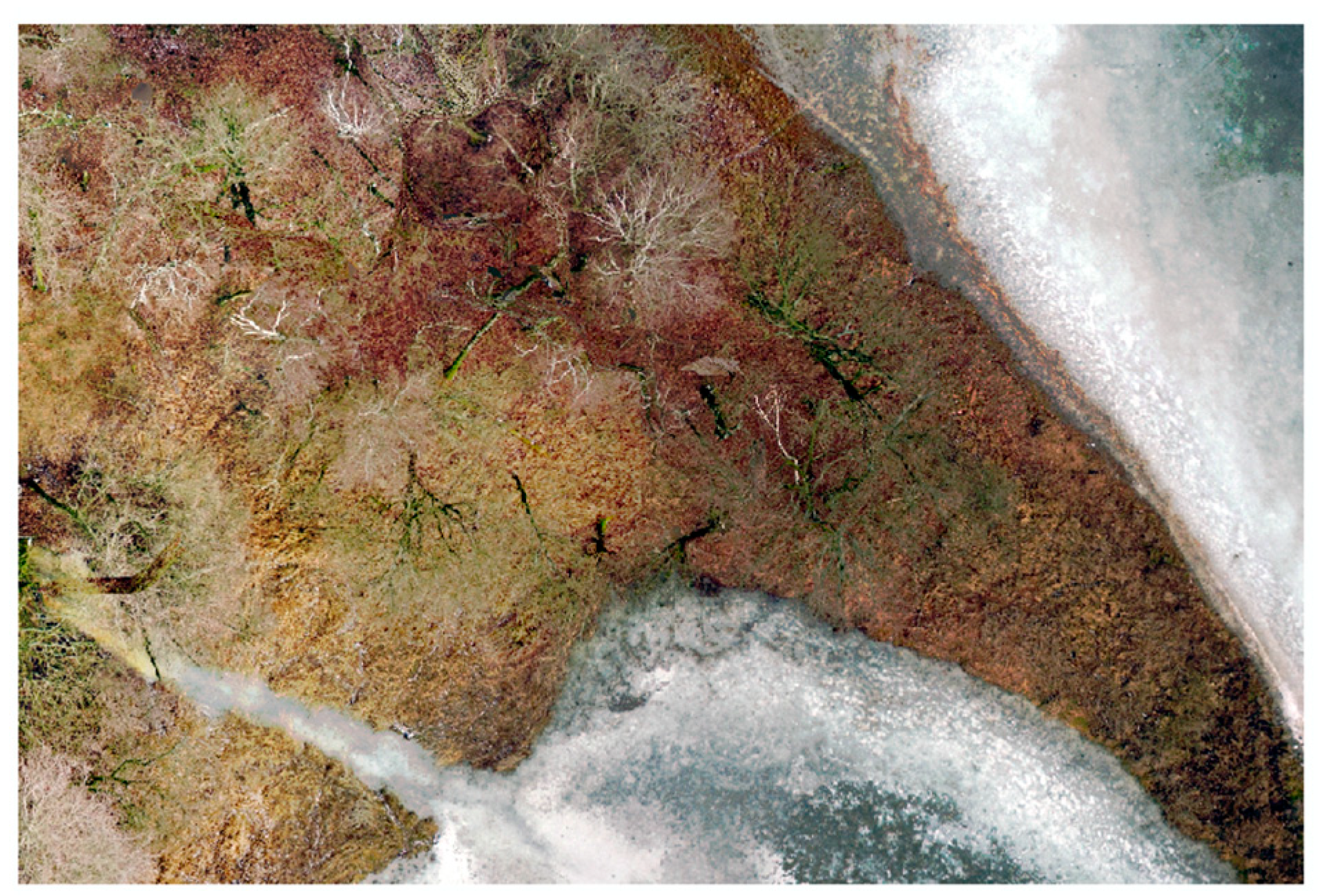 Applsci 13 11400 g006