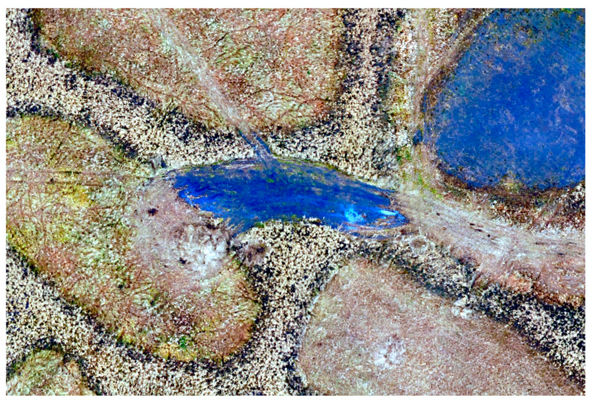 Applsci 13 11400 g007