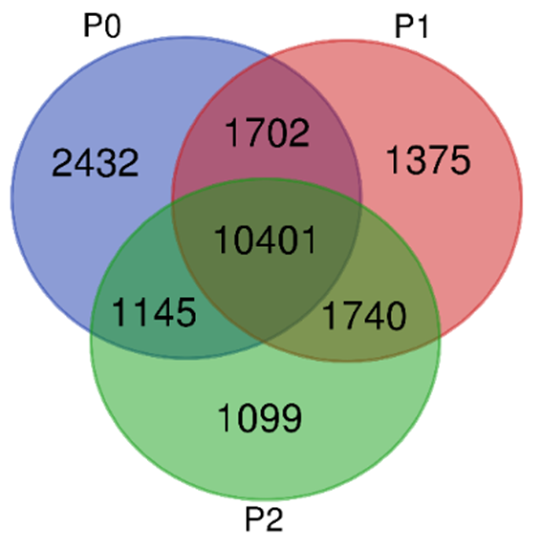 Applsci 13 11403 g002