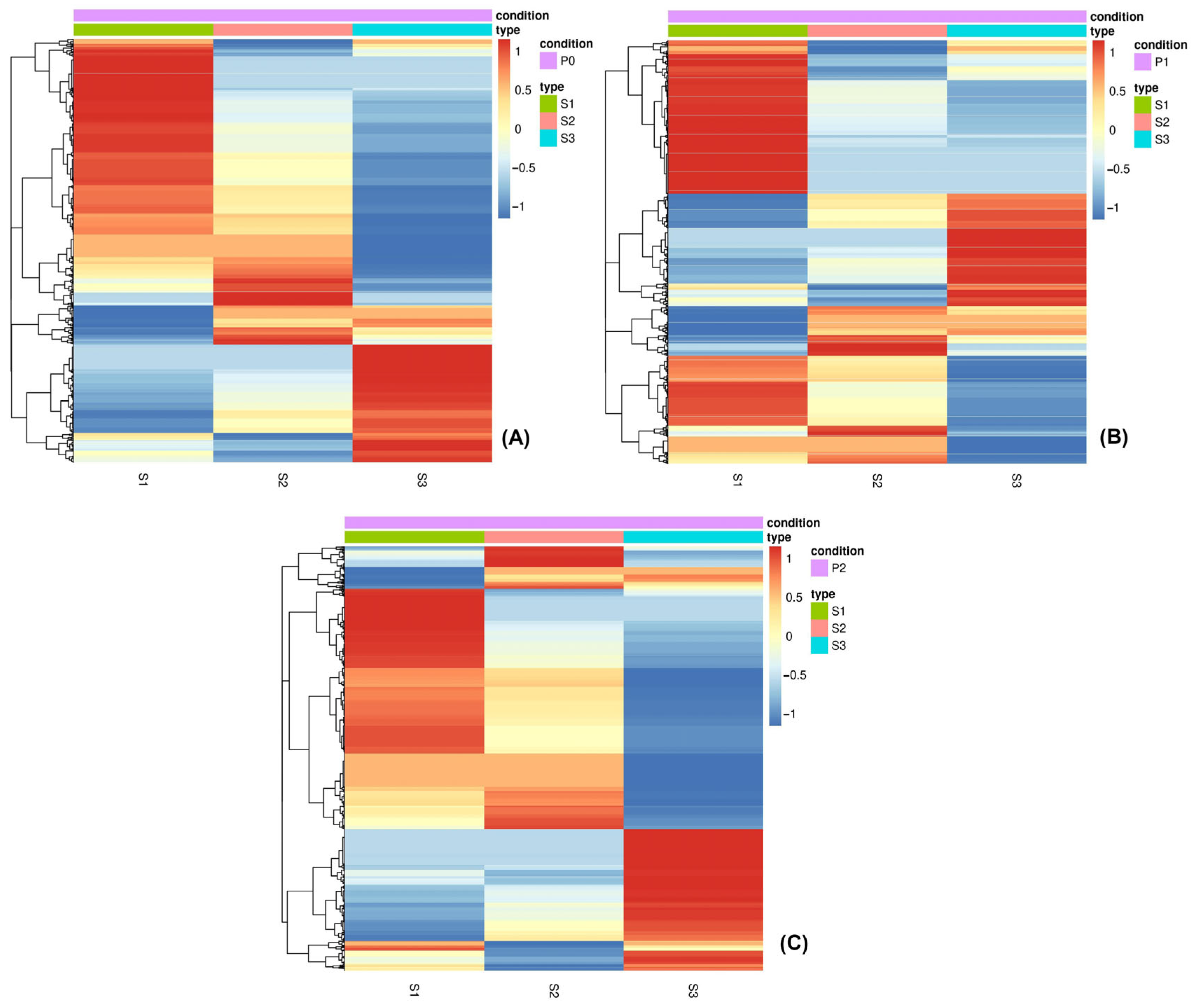 Applsci 13 11403 g004